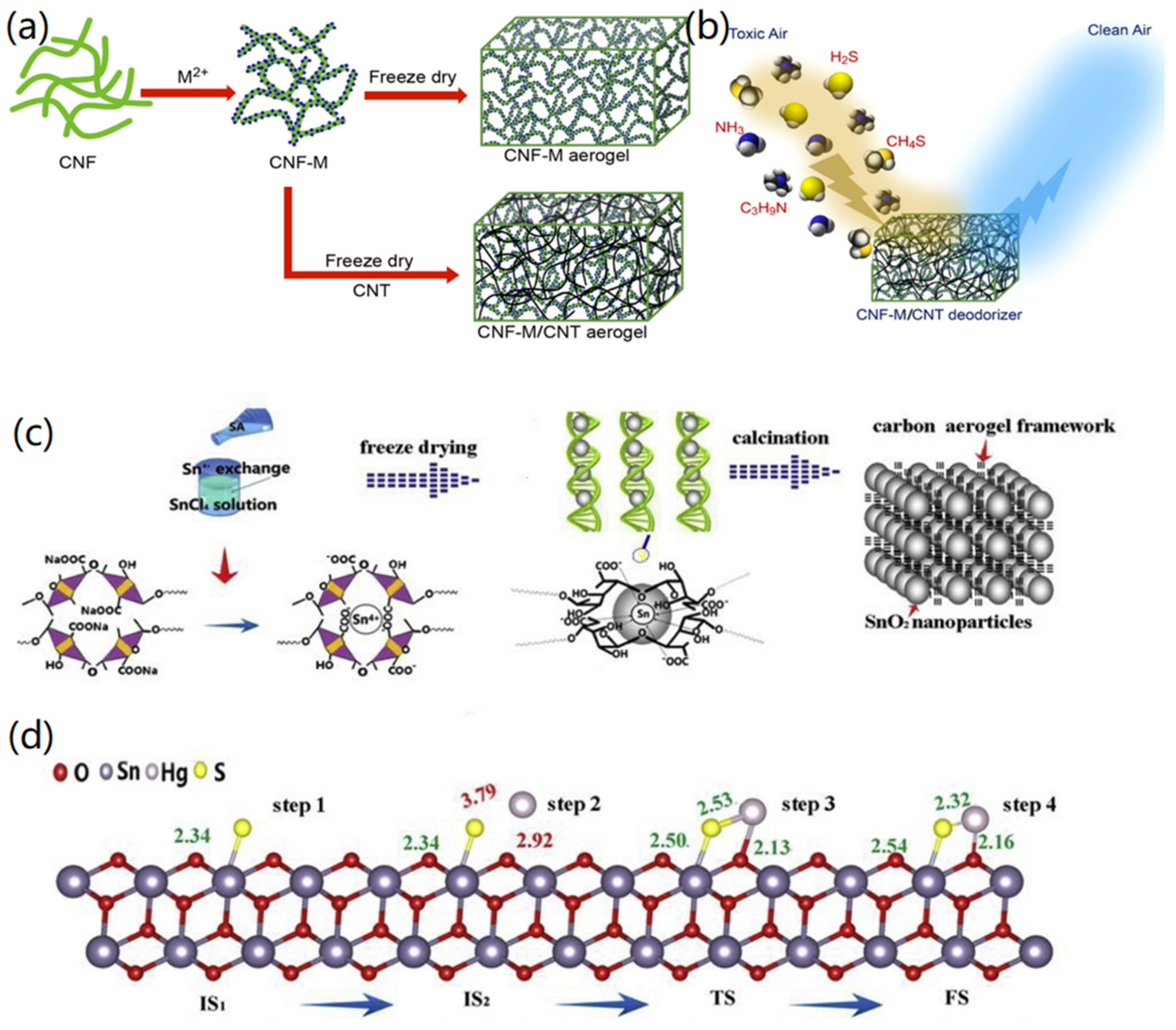 Nanomaterials 12 03172 g009