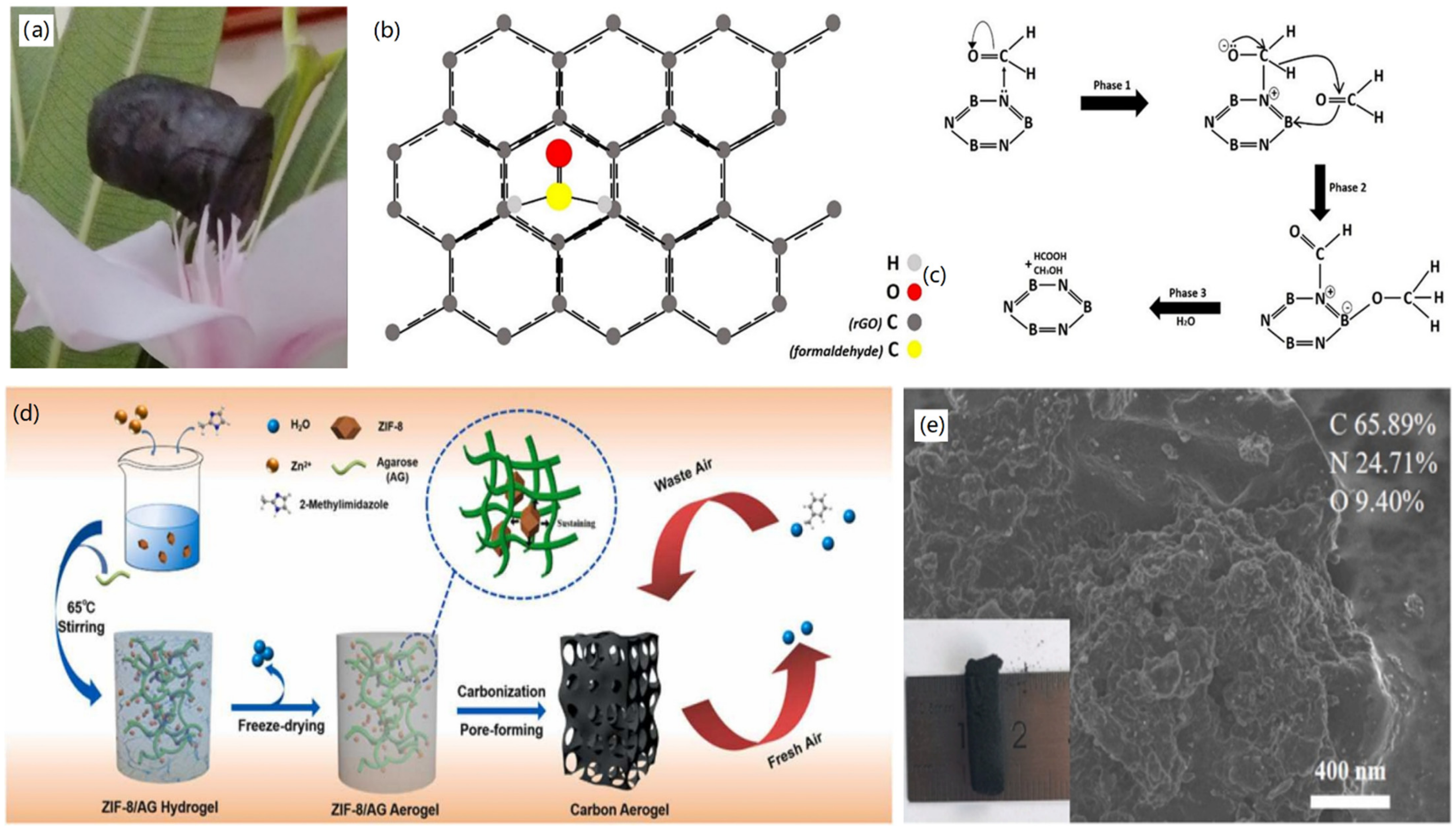 Nanomaterials 12 03172 g011