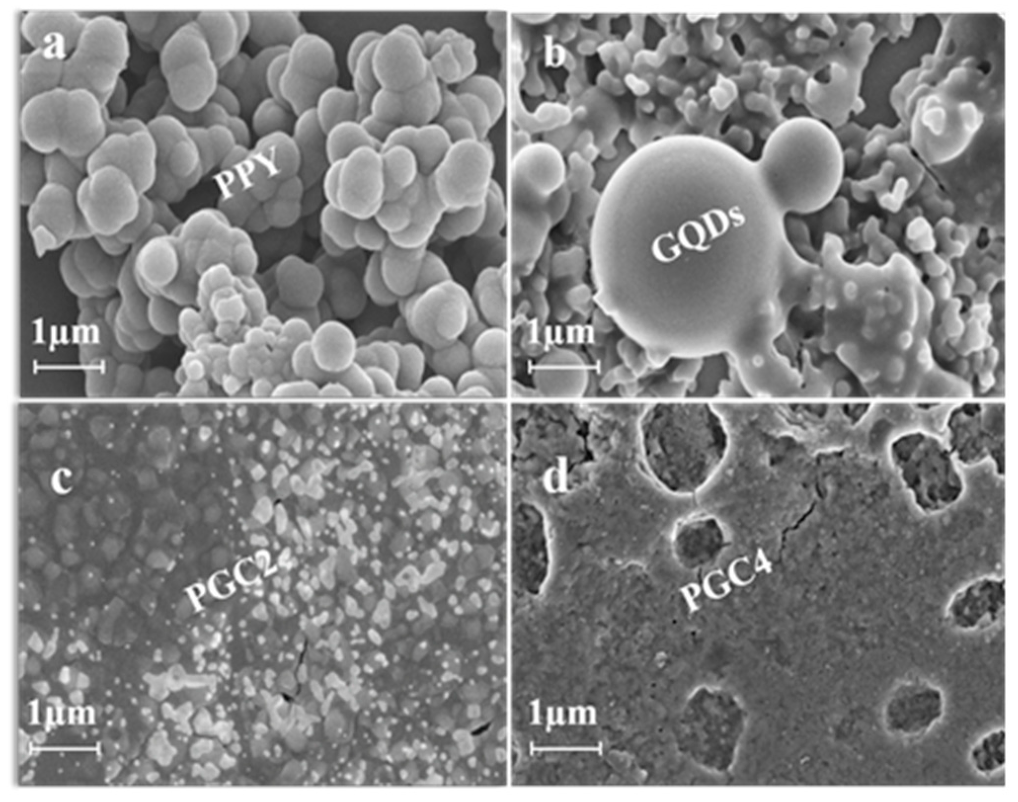 Nanomaterials 12 03175 g004