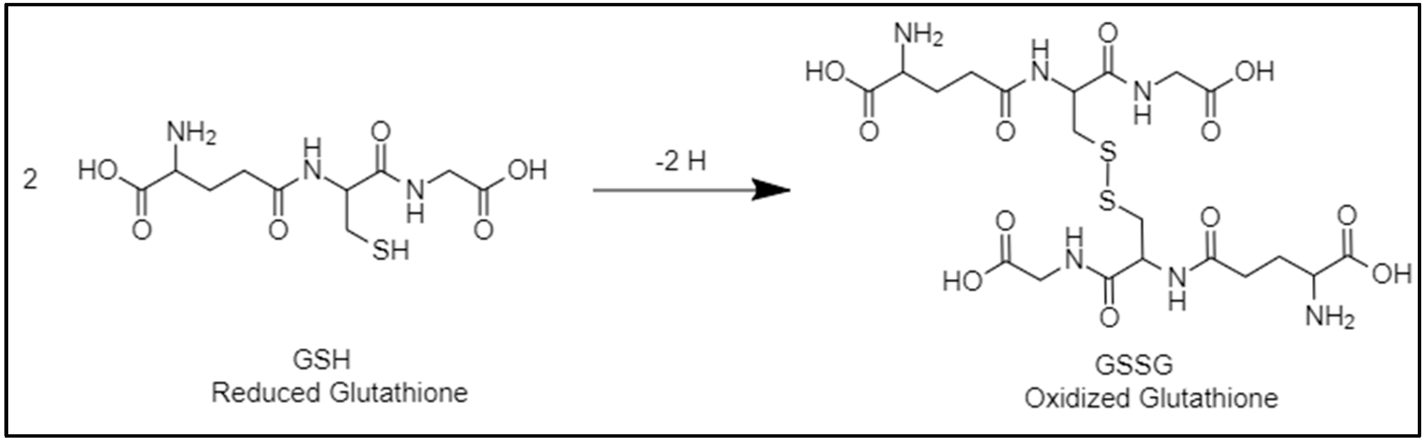 Nanomaterials 12 03183 g002 Nanomaterials 12 03183 g002