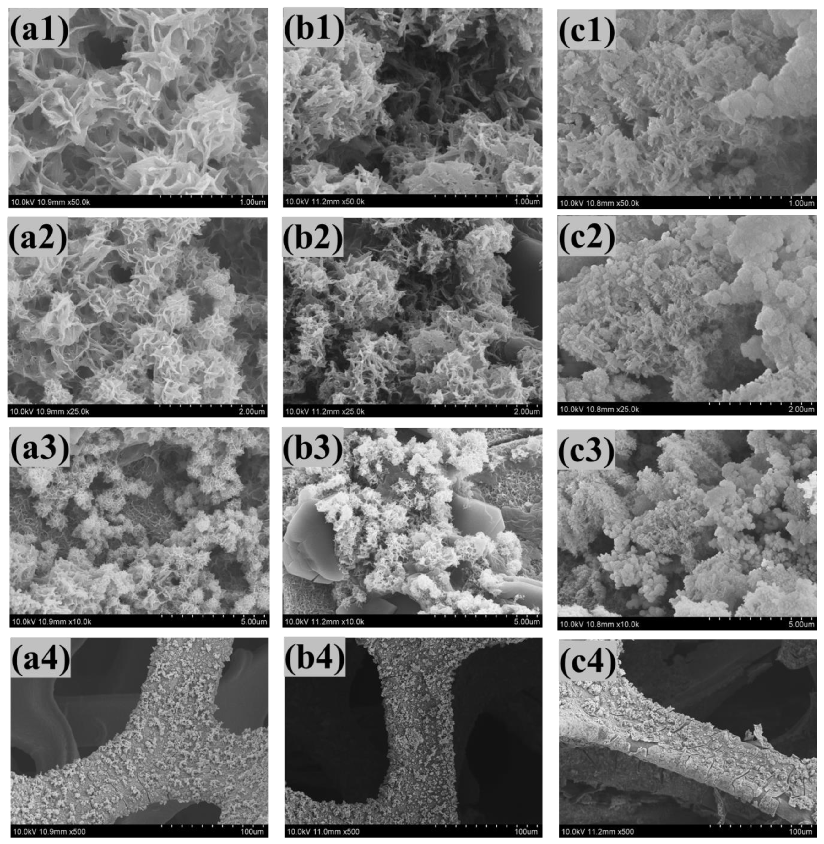 Nanomaterials 12 03193 g002