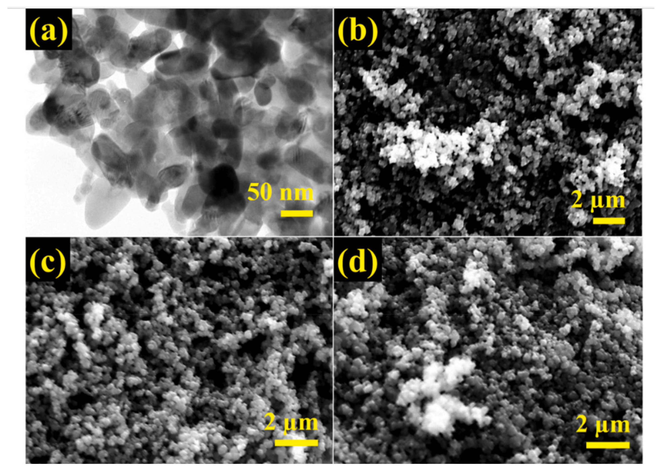 Nanomaterials 12 03199 g017