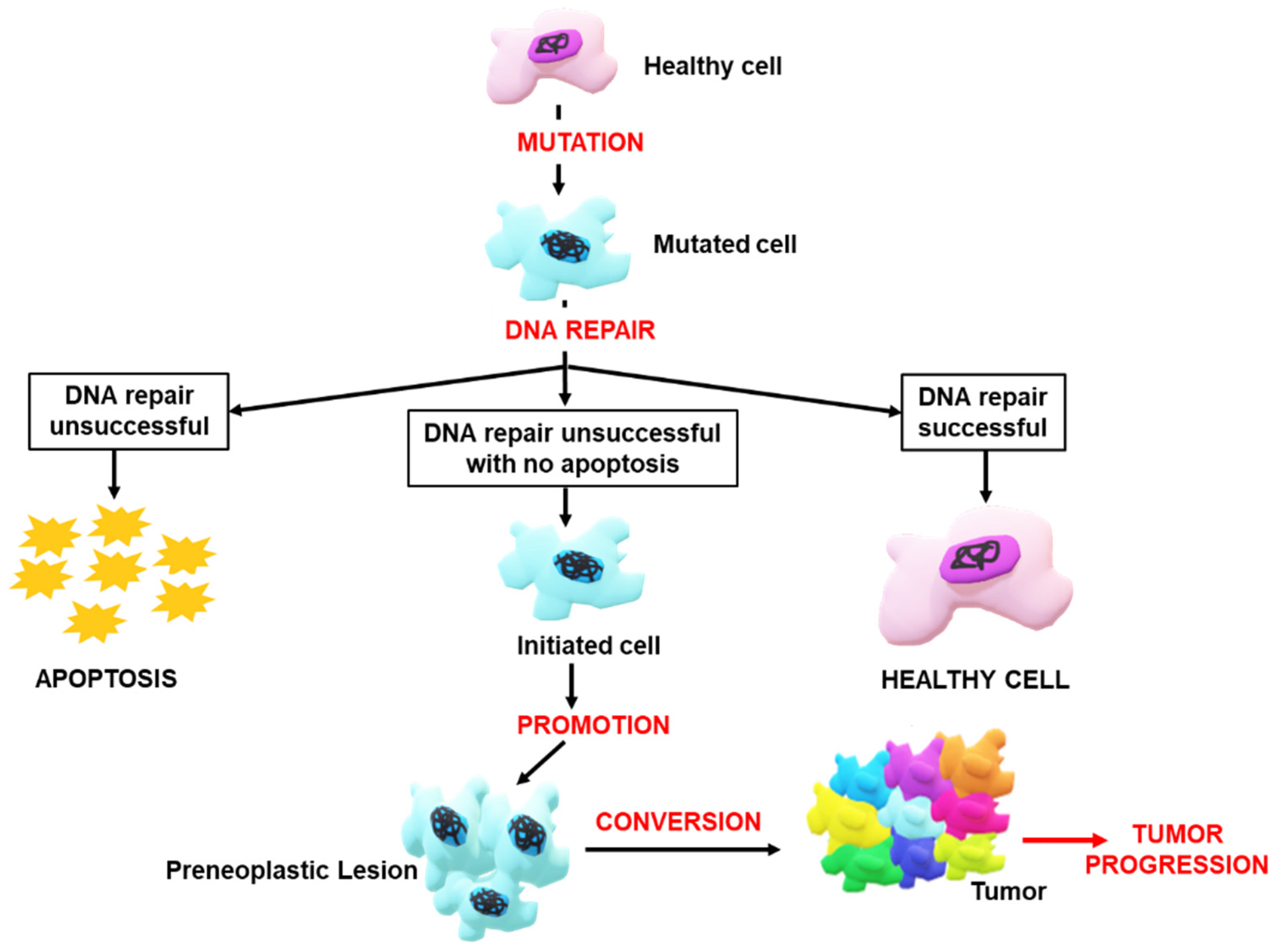 Nanomaterials 12 03201 g003 Nanomaterials 12 03201 g003