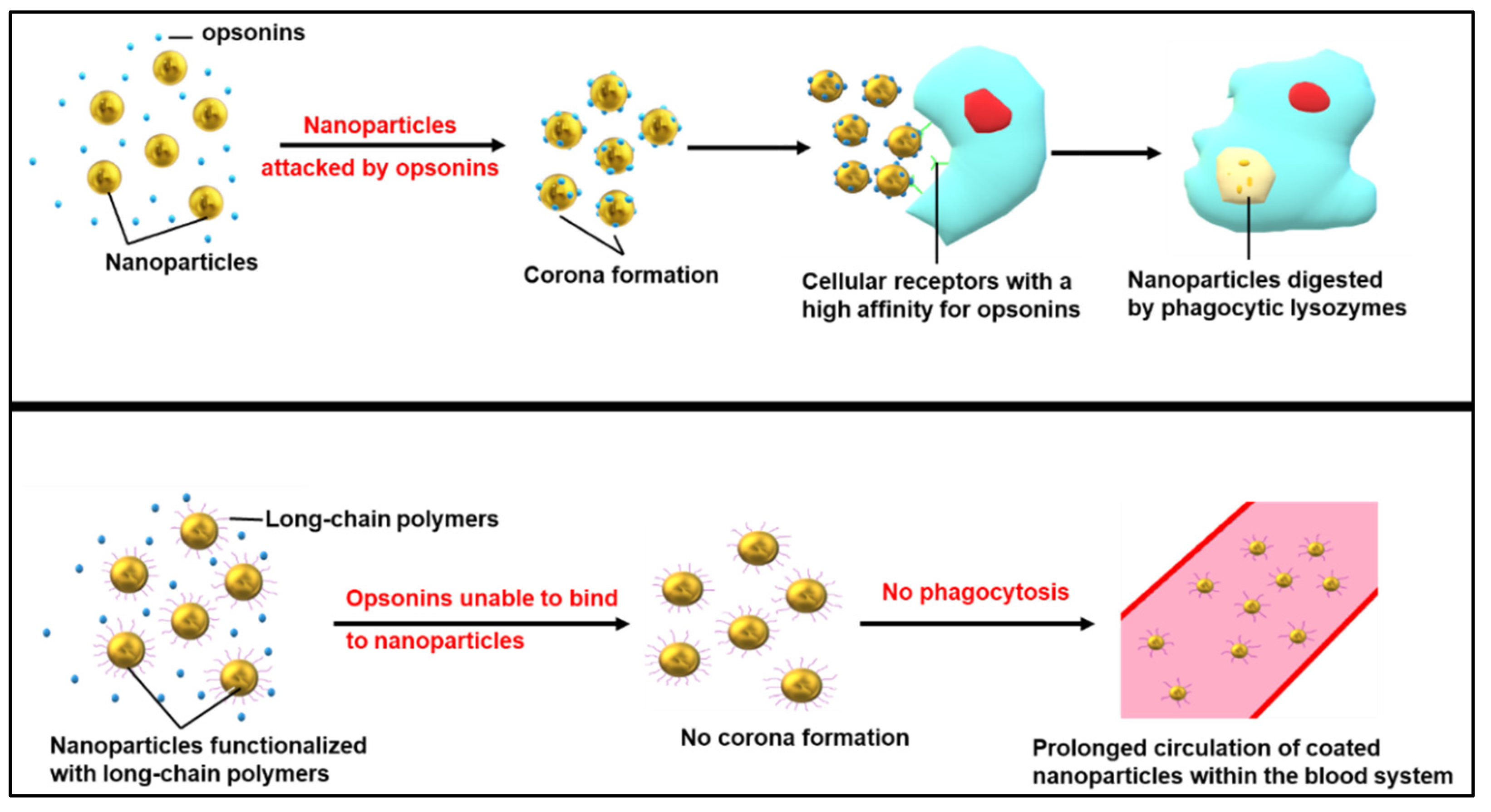 Nanomaterials 12 03201 g005 Nanomaterials 12 03201 g005