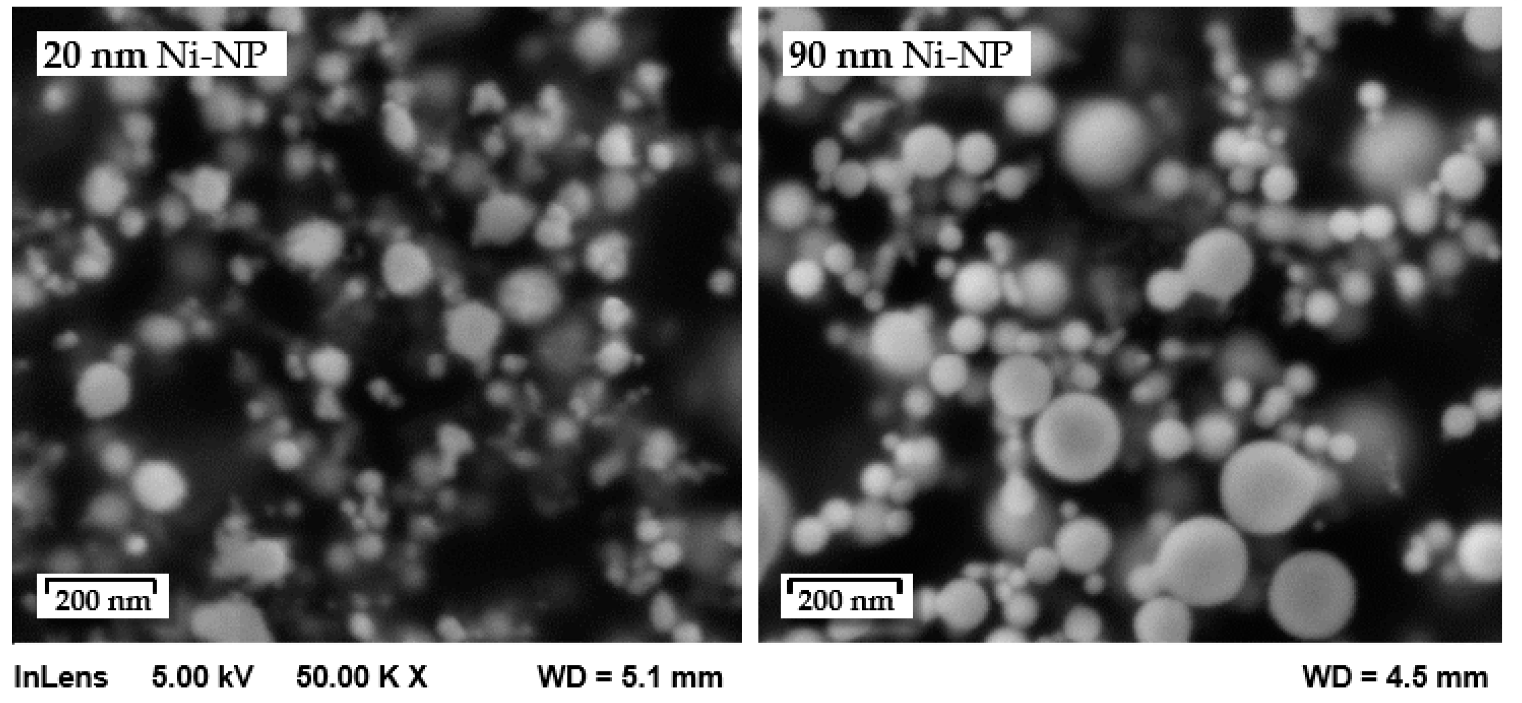 Nanomaterials 12 03204 g001