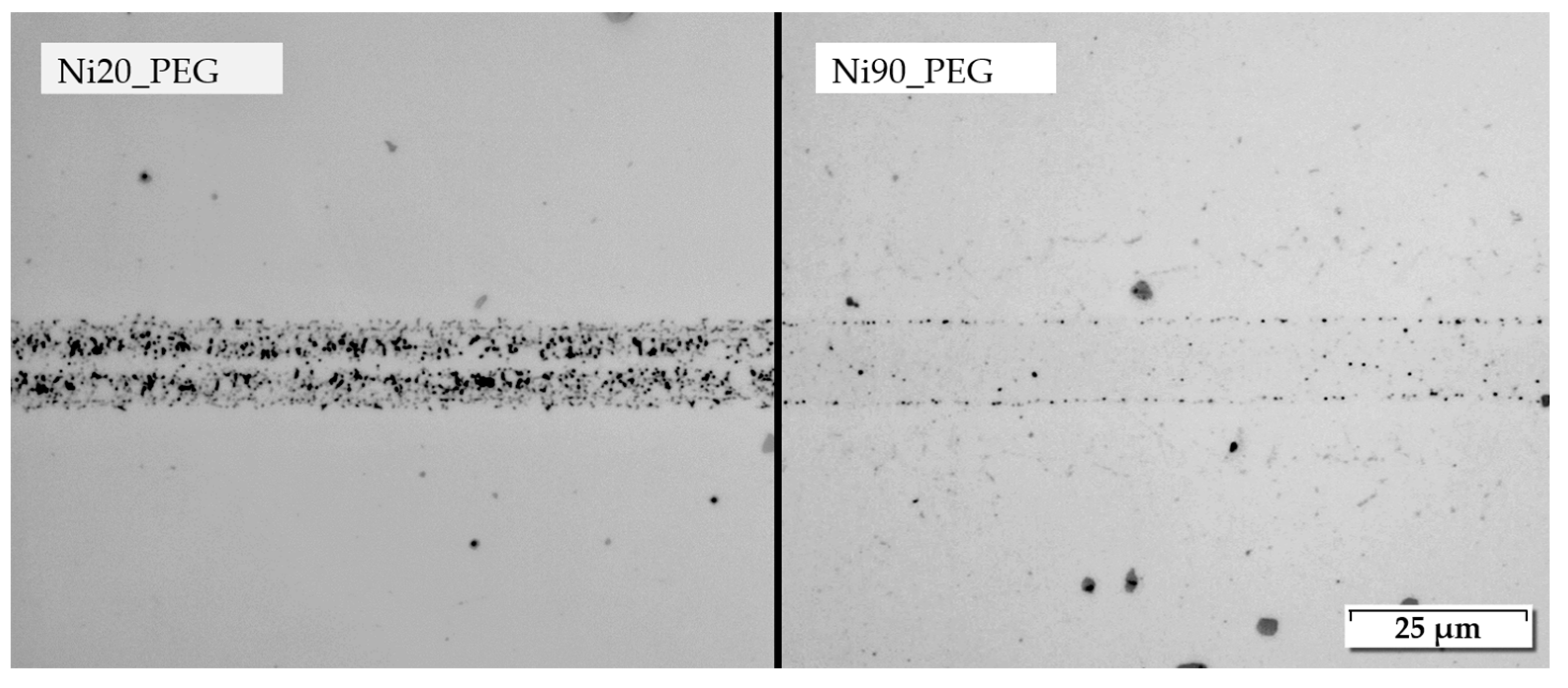 Nanomaterials 12 03204 g008