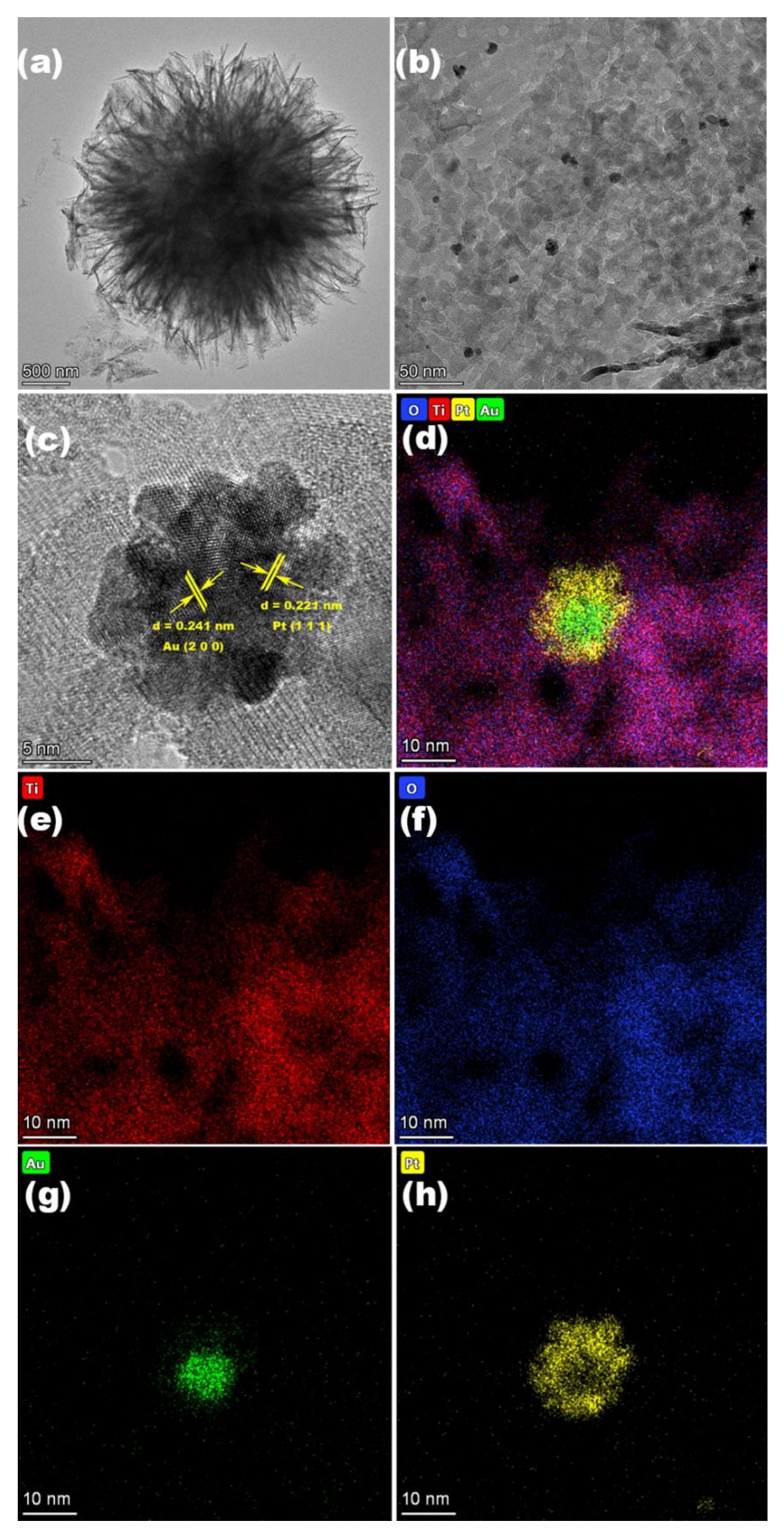 Nanomaterials 12 03221 g001