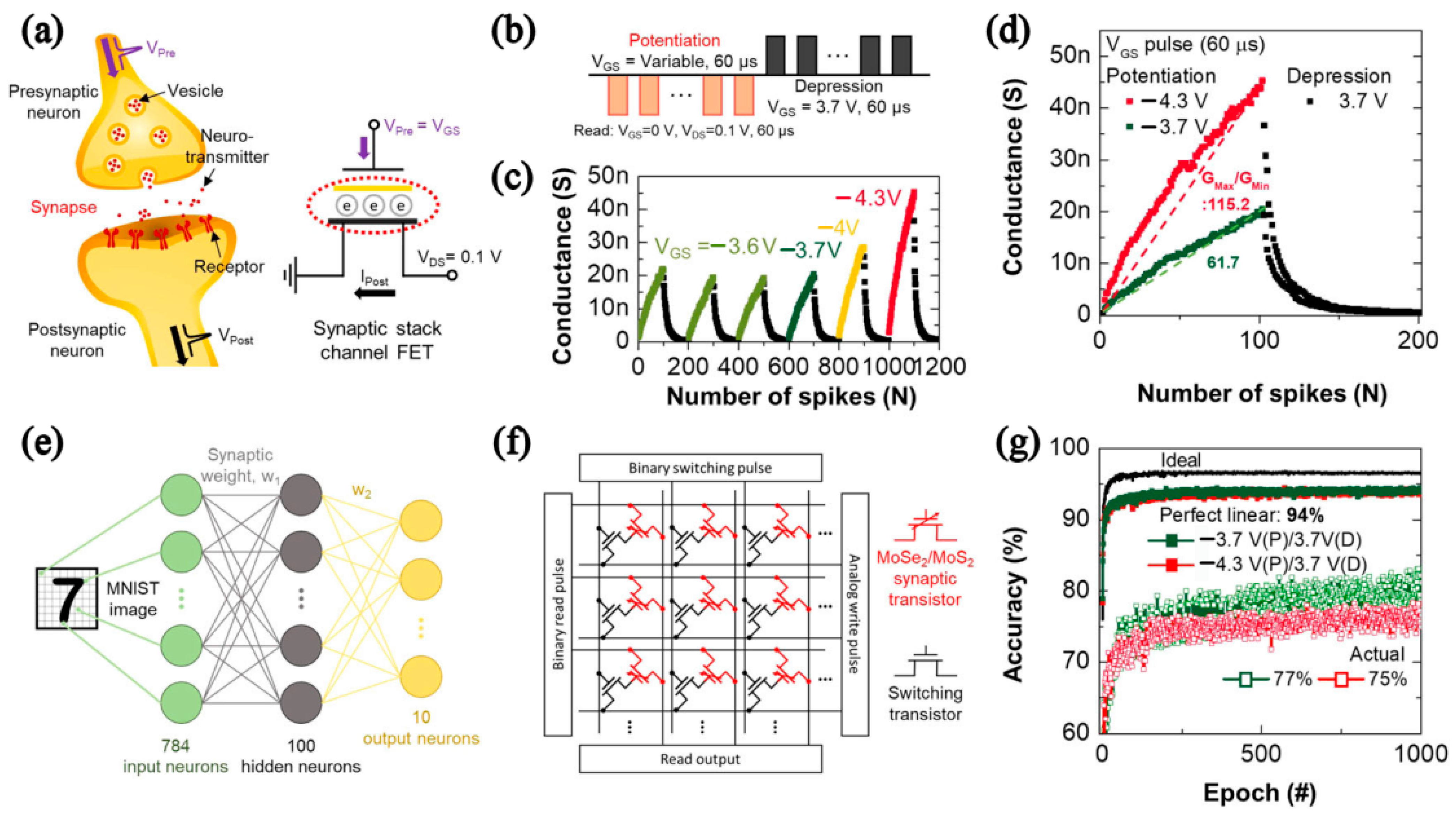 Nanomaterials 12 03233 g013