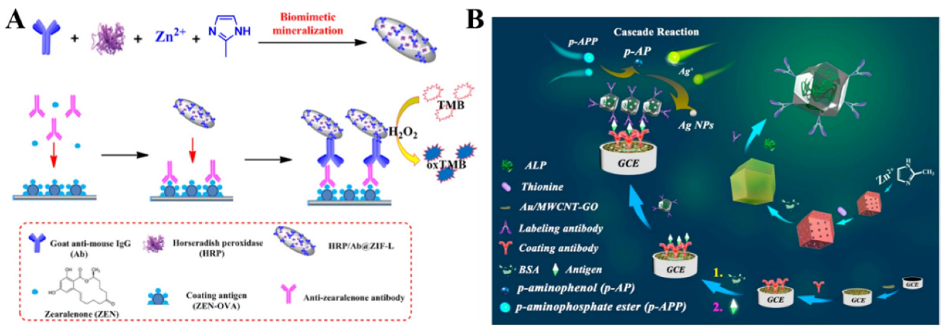 Nanomaterials 12 03248 g009