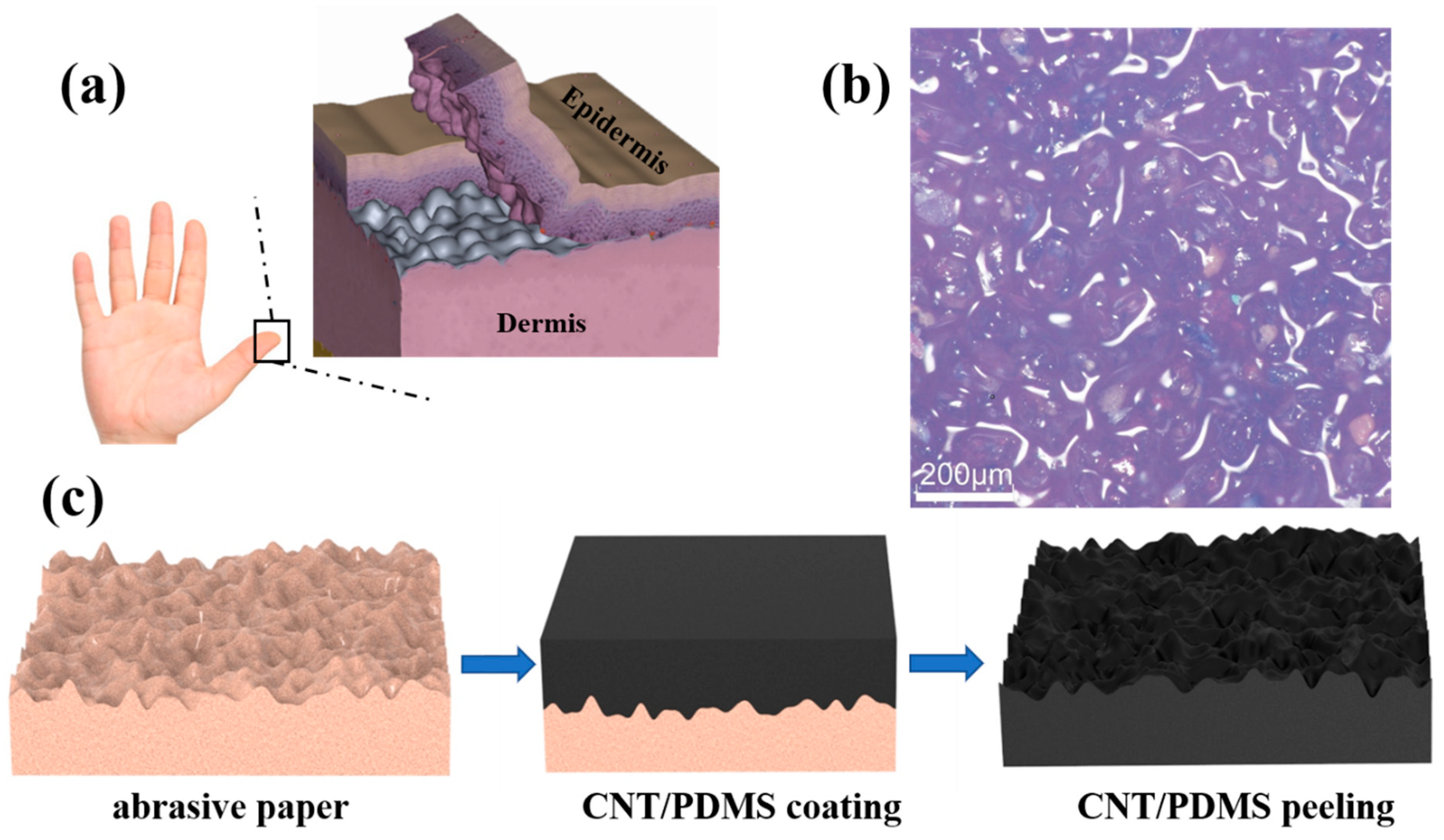 Nanomaterials 12 03265 g001