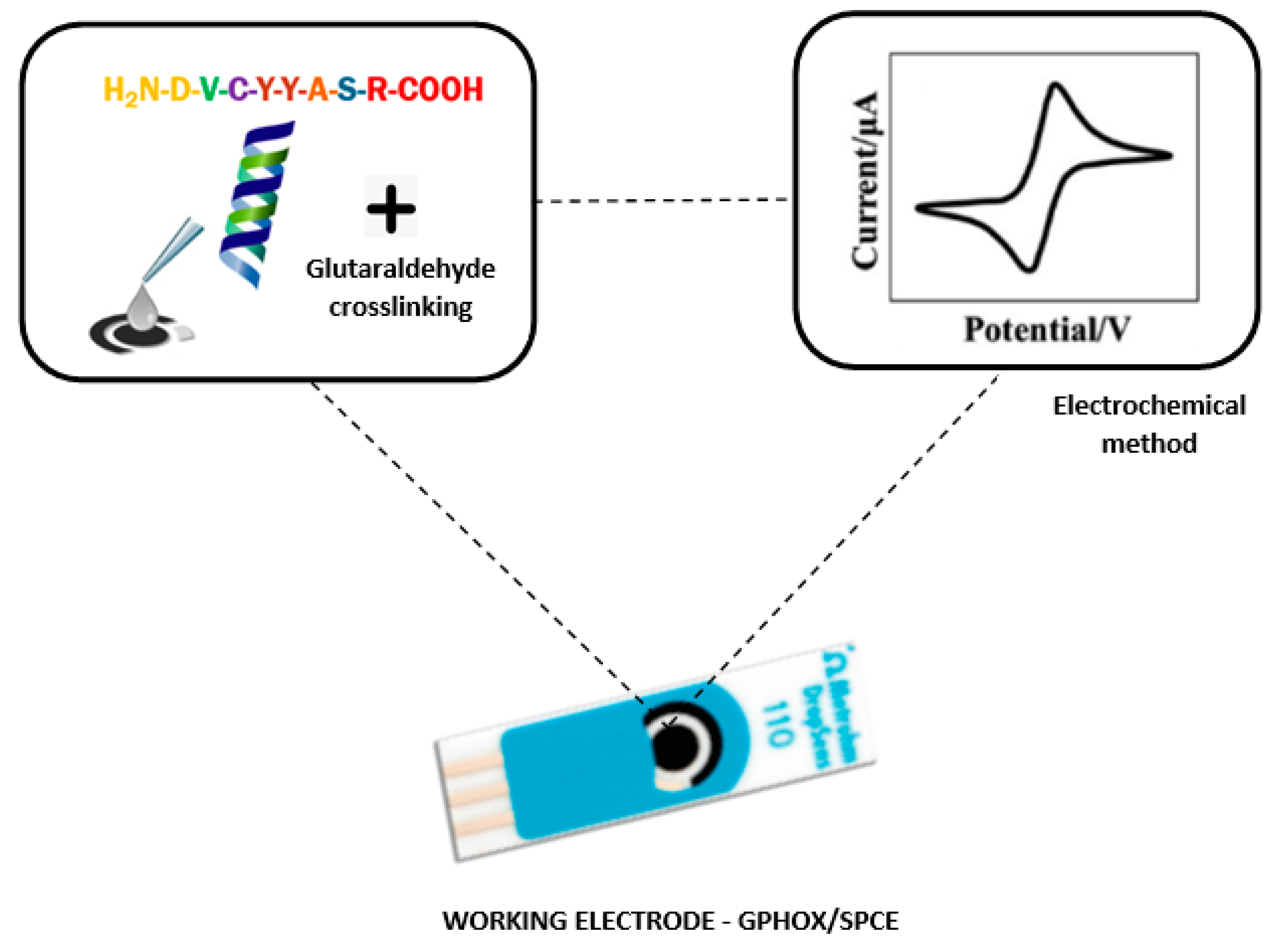 Nanomaterials 12 03292 g003