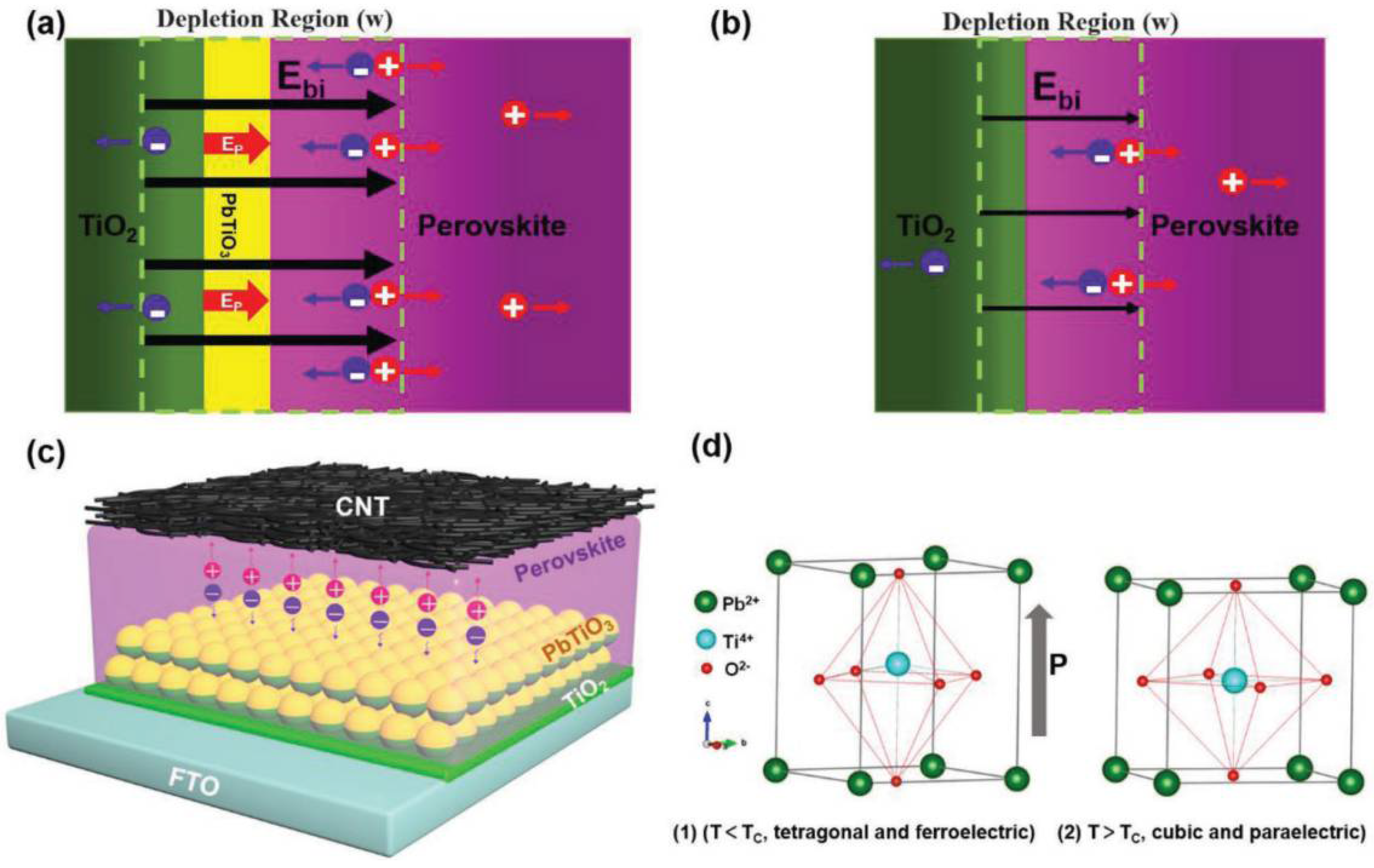 Nanomaterials 12 03295 g009