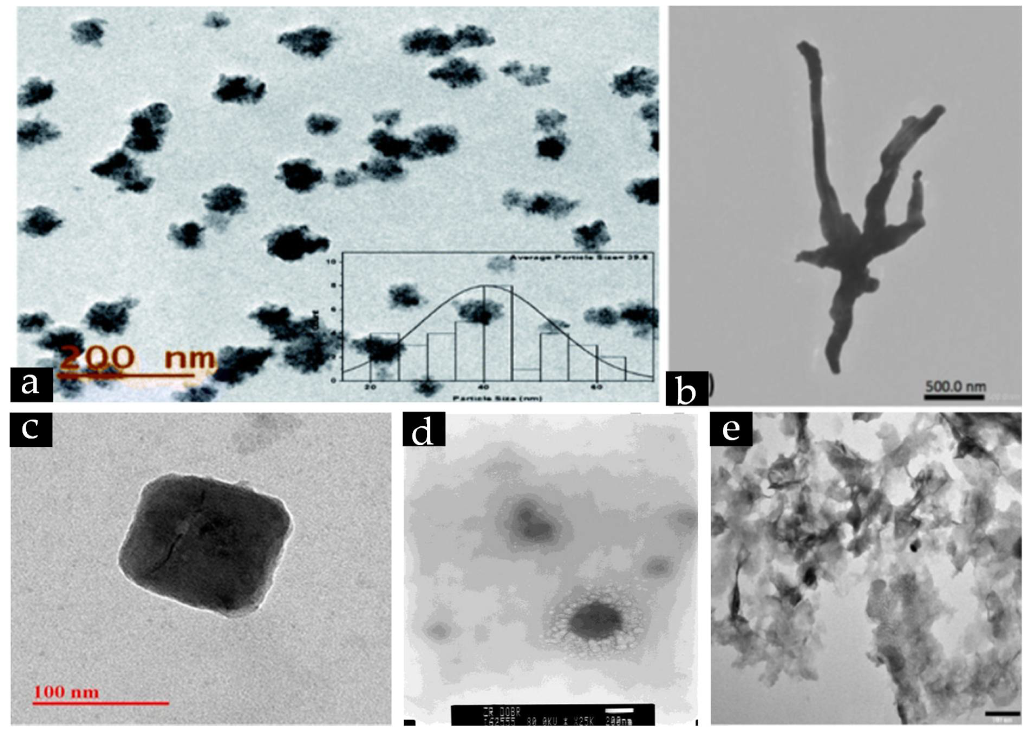 Nanomaterials 12 03312 g003