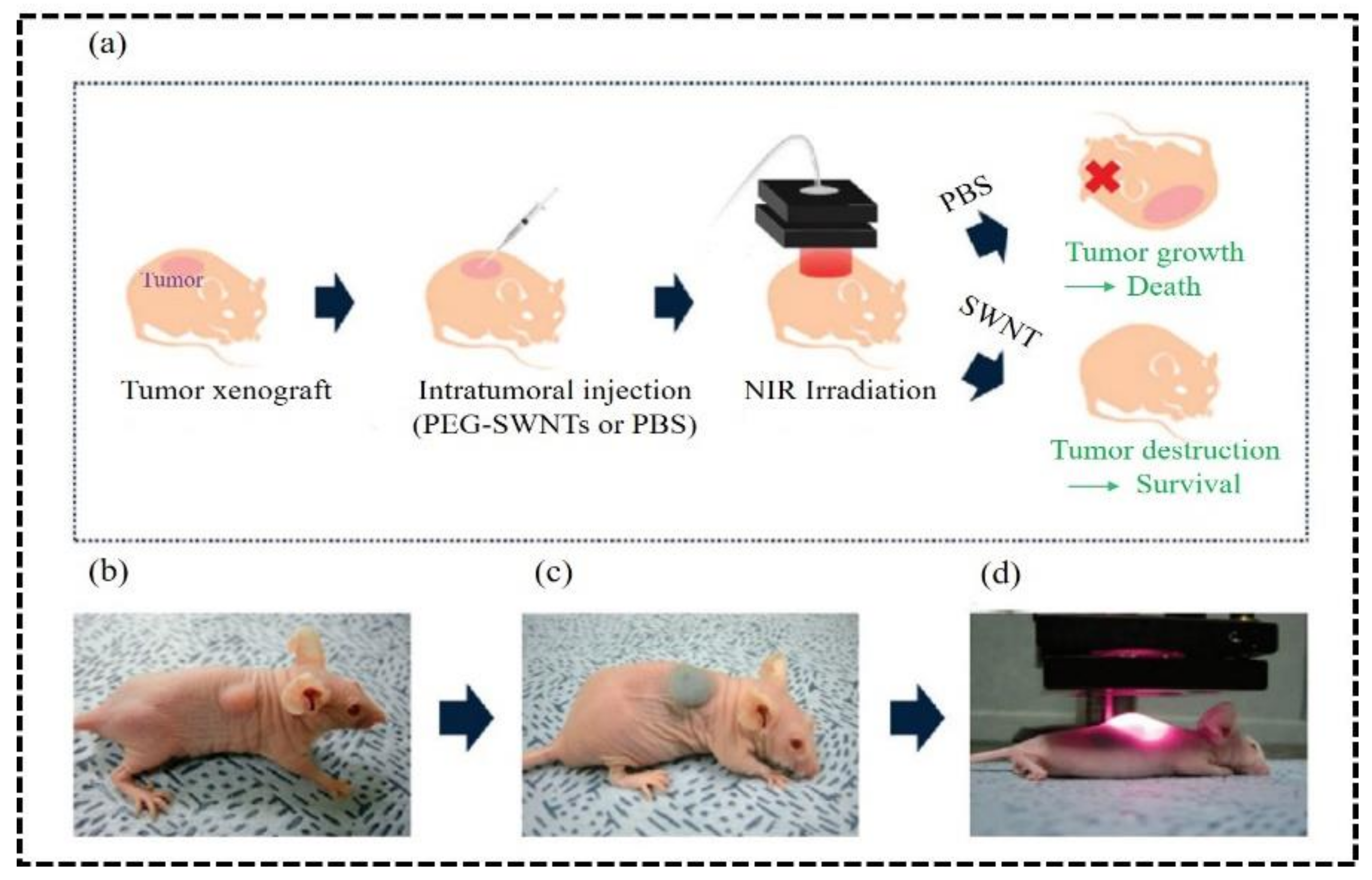 Nanomaterials 12 03318 g002