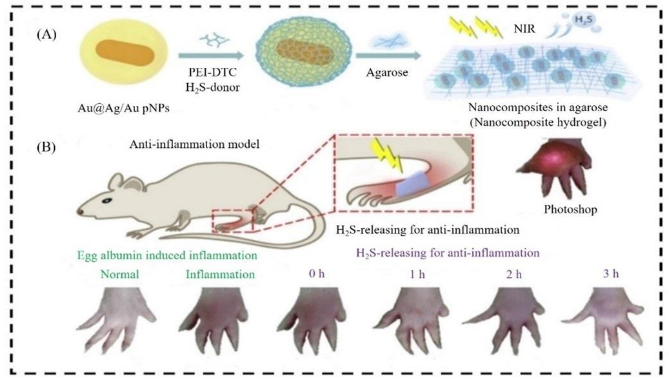 Nanomaterials 12 03318 g003