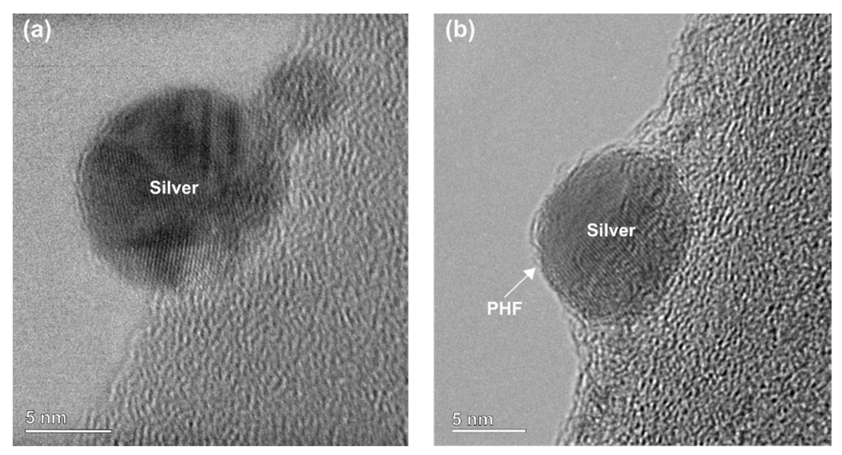 Nanomaterials 12 03321 g001