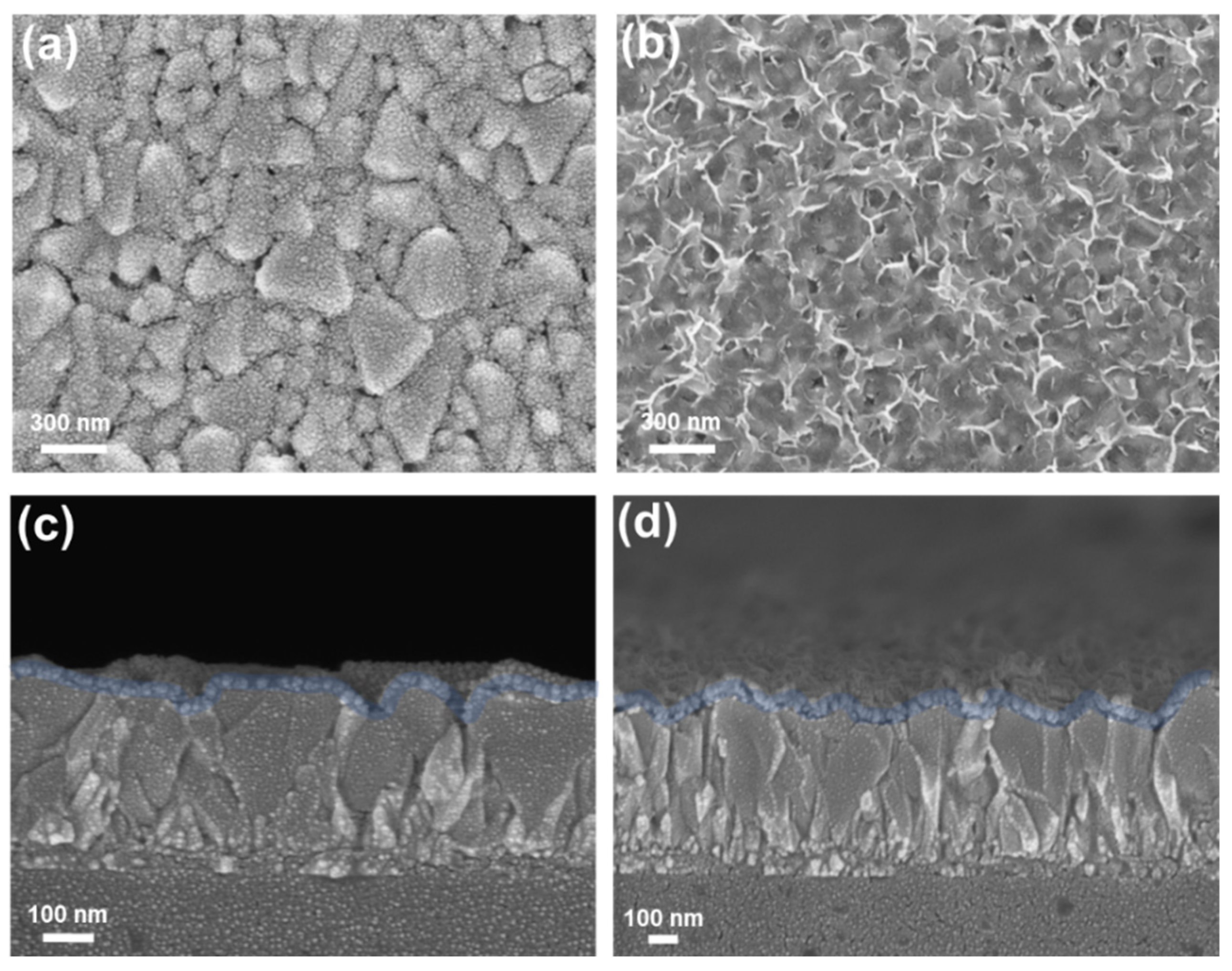 Nanomaterials 12 03336 g002