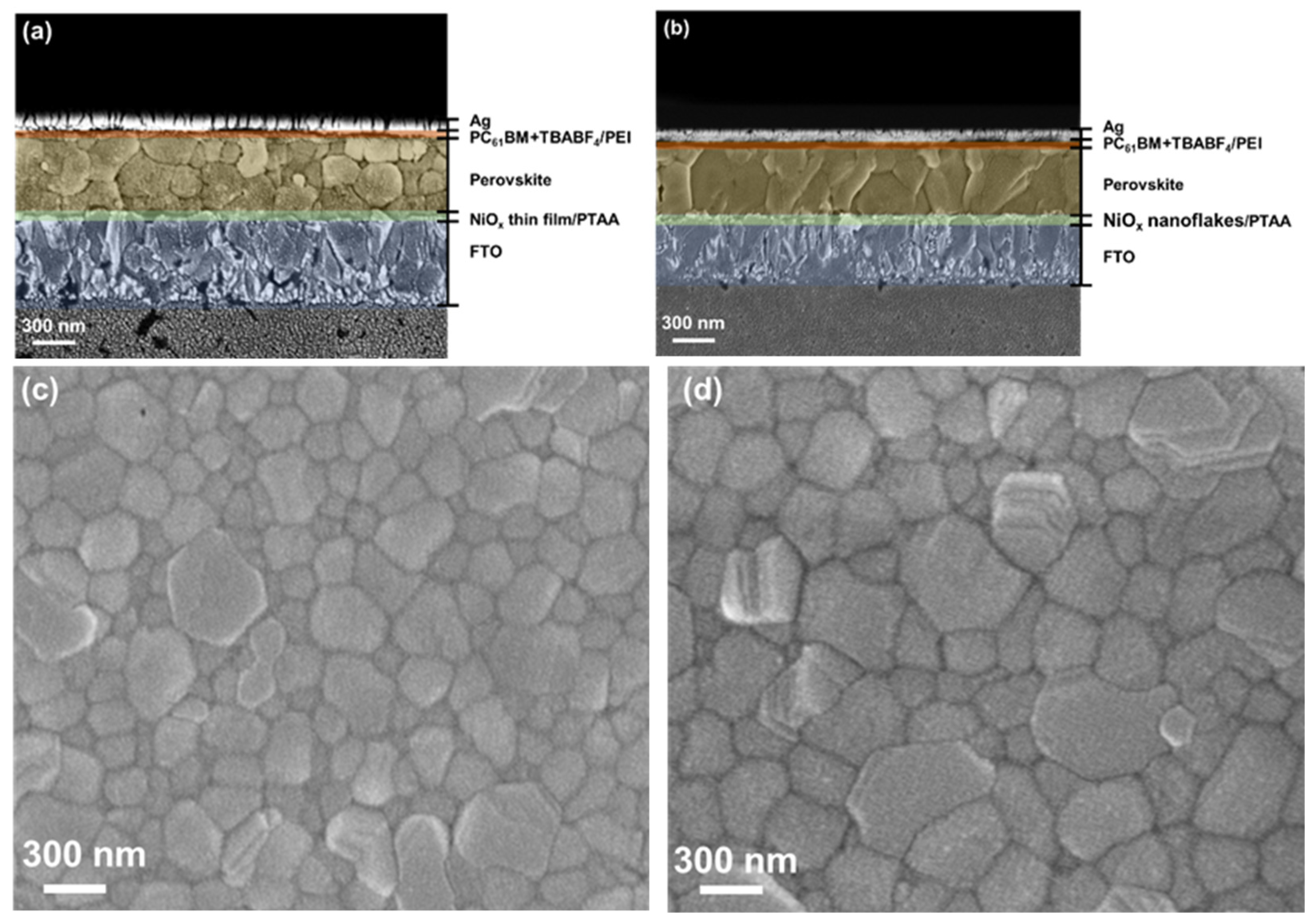 Nanomaterials 12 03336 g007