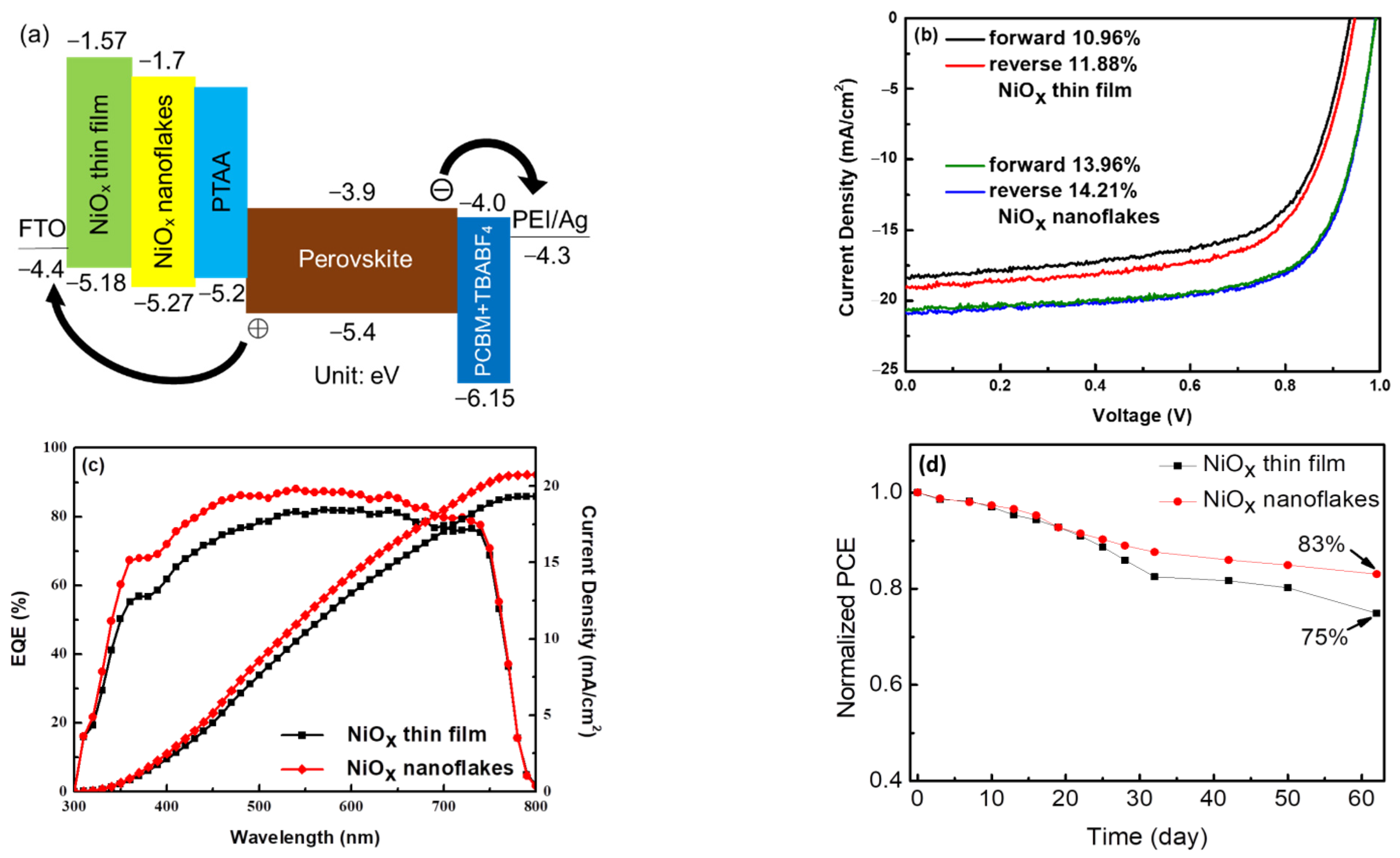 Nanomaterials 12 03336 g010