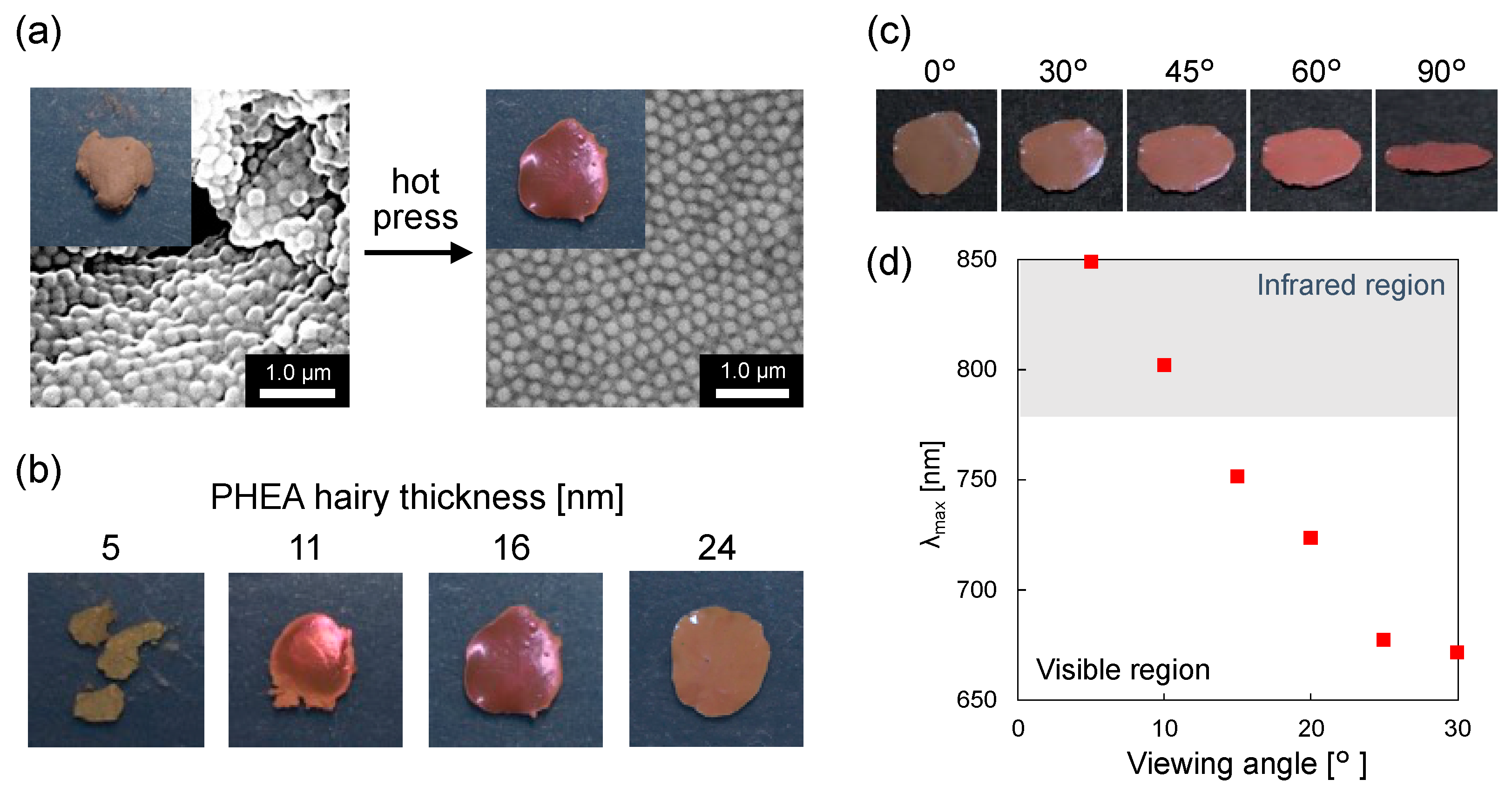 Nanomaterials 12 03338 g005