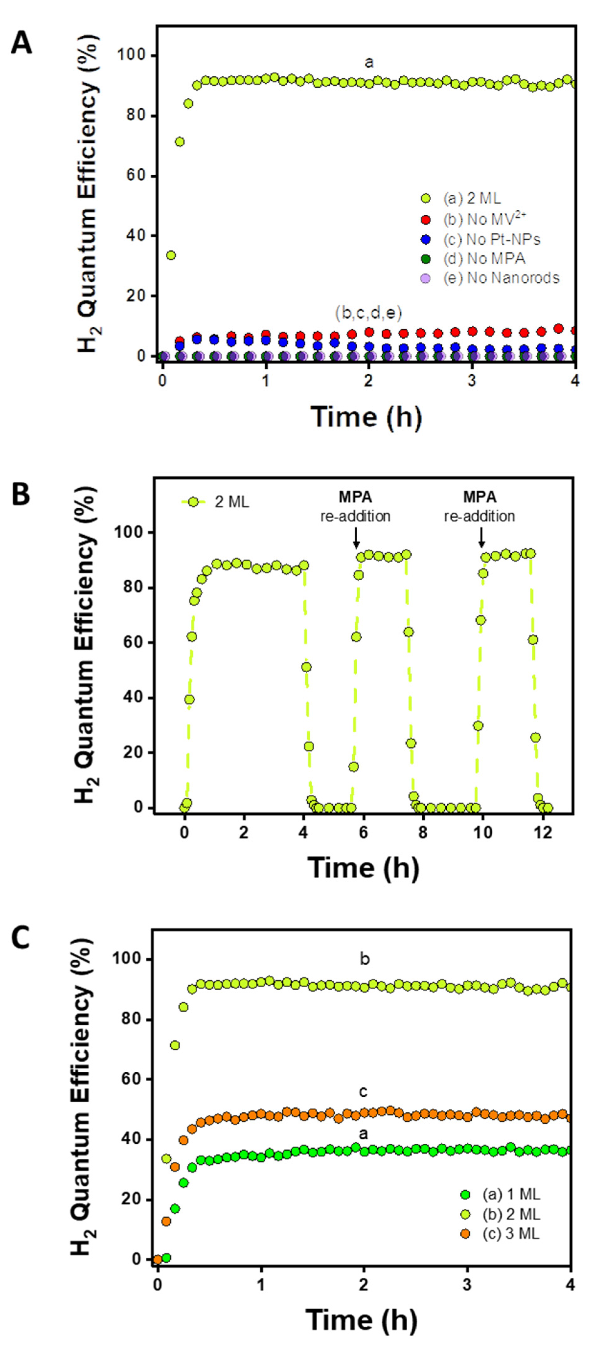 Nanomaterials 12 03343 g002
