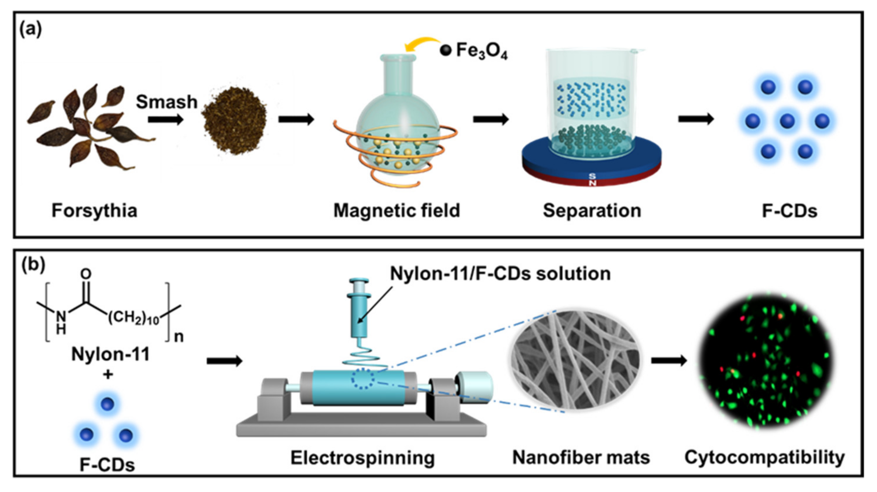 Nanomaterials 12 03347 g001