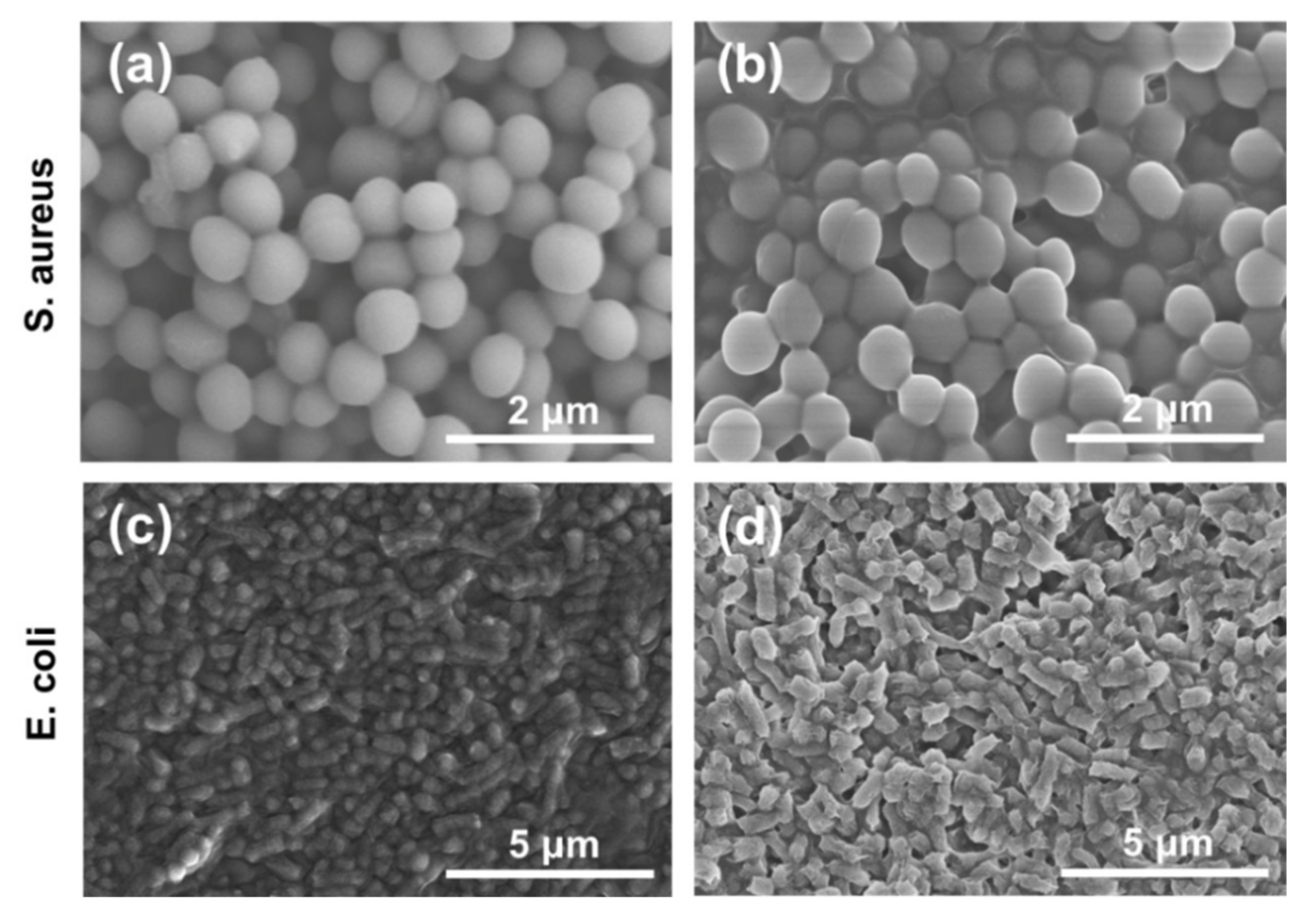 Nanomaterials 12 03347 g006