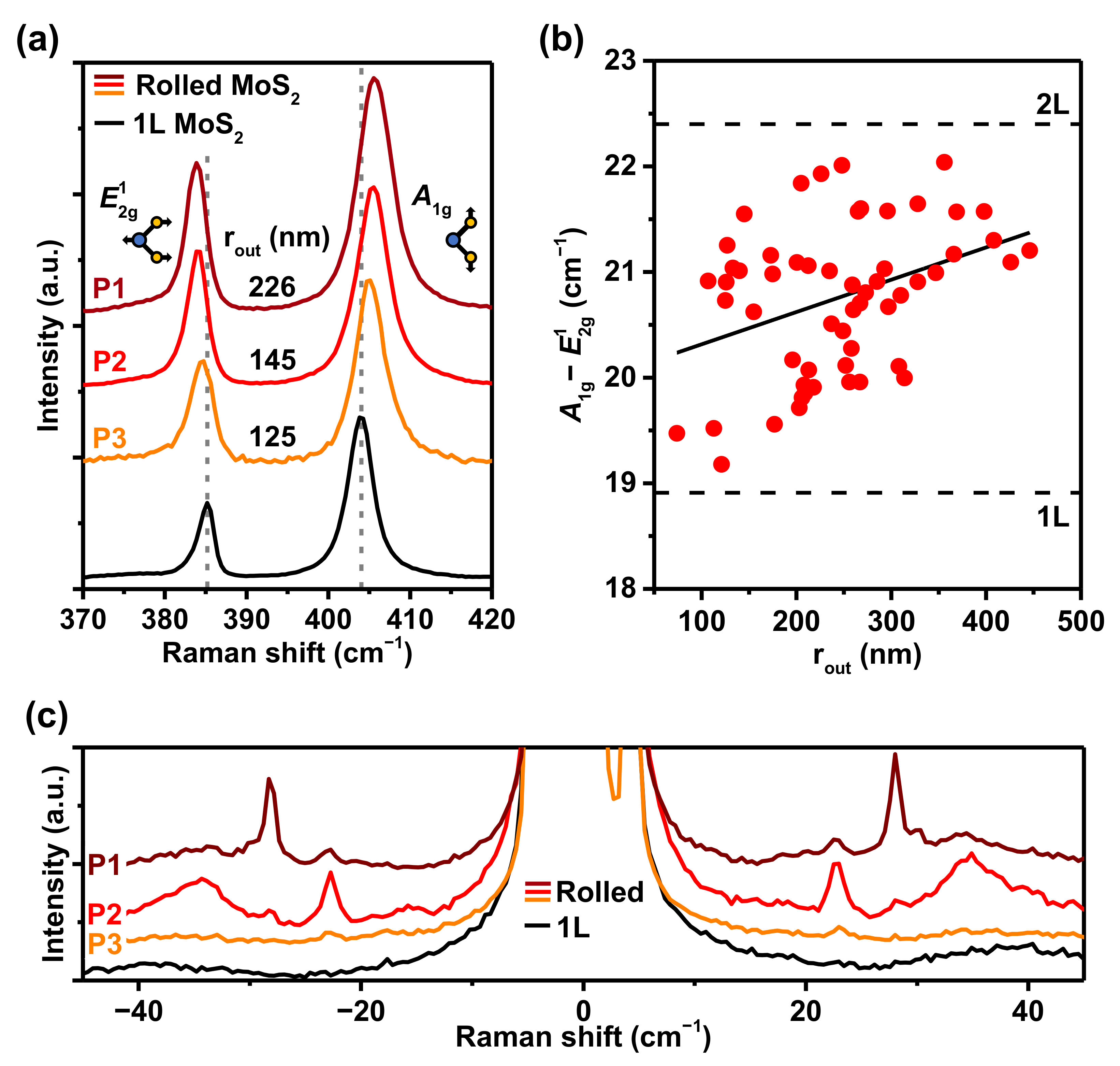Nanomaterials 12 03353 g004