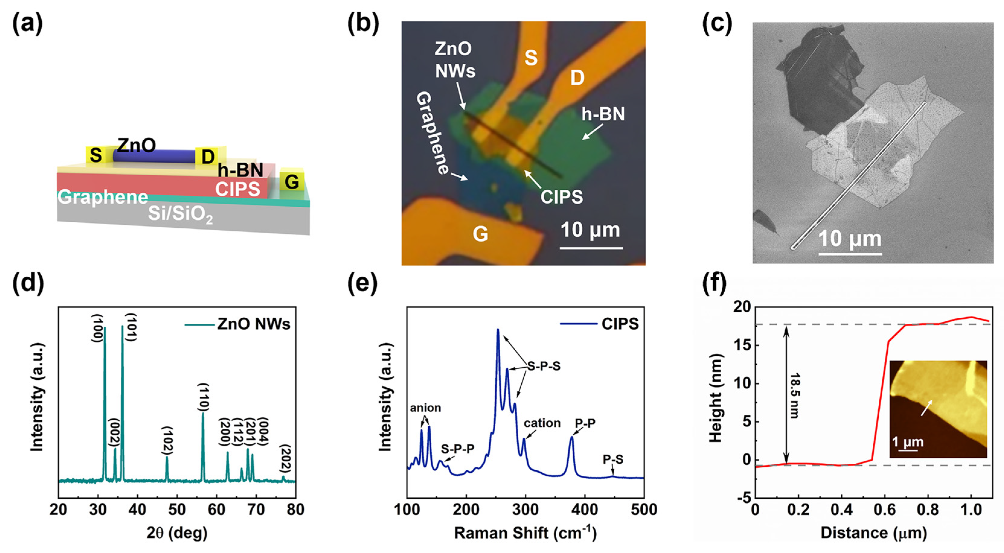 Nanomaterials 12 03358 g001
