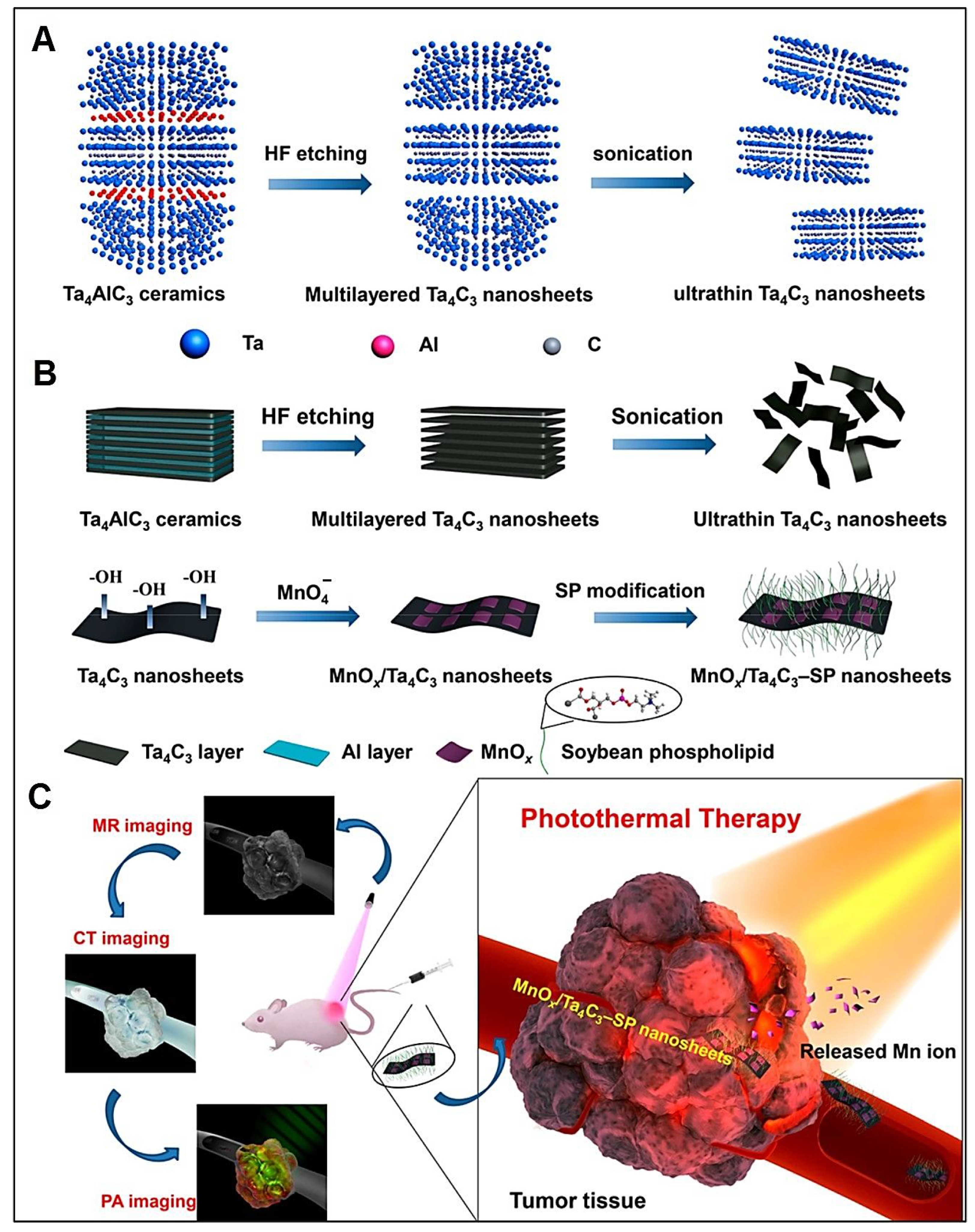 Nanomaterials 12 03360 g002