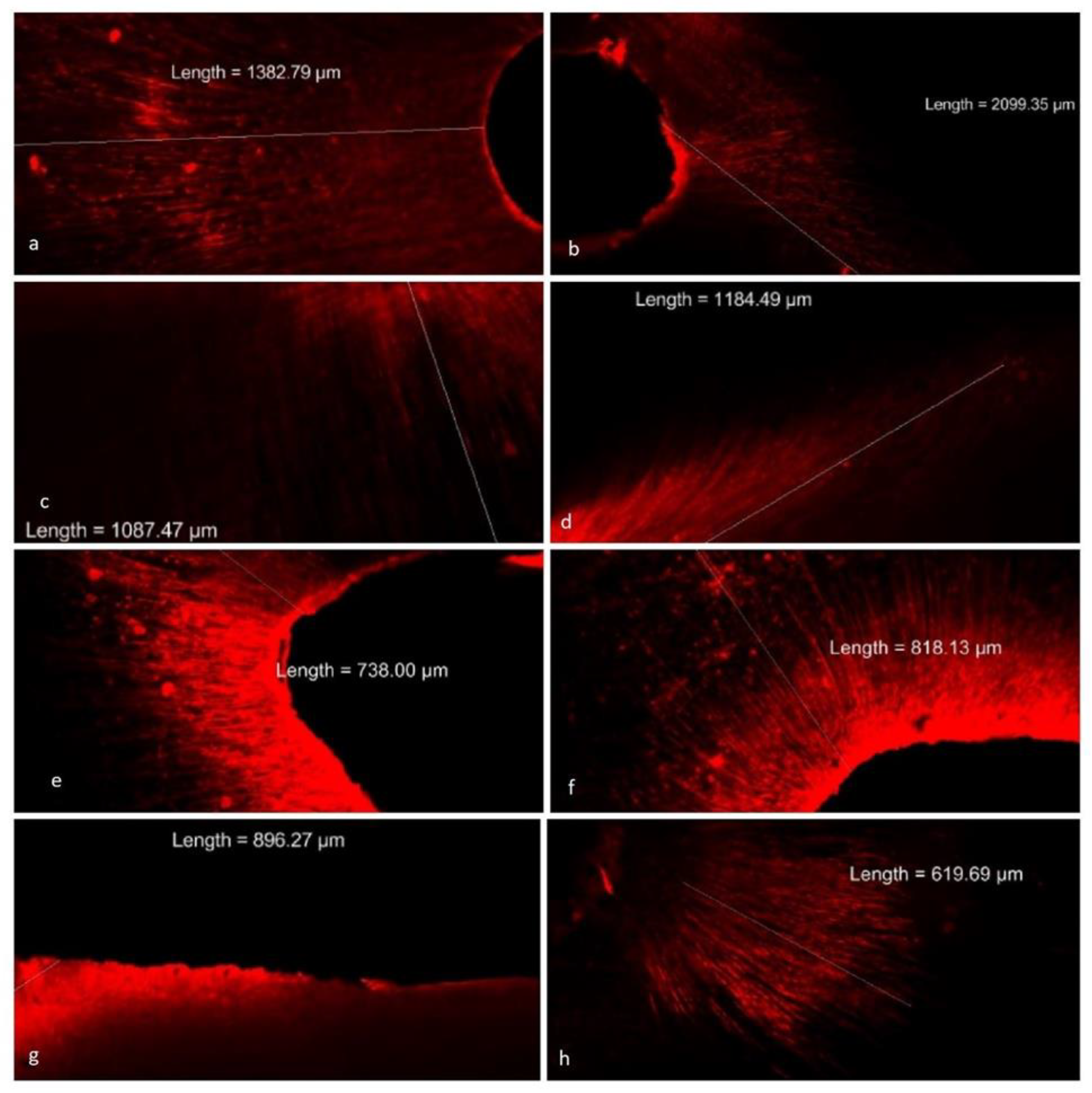 Nanomaterials 12 03372 g004