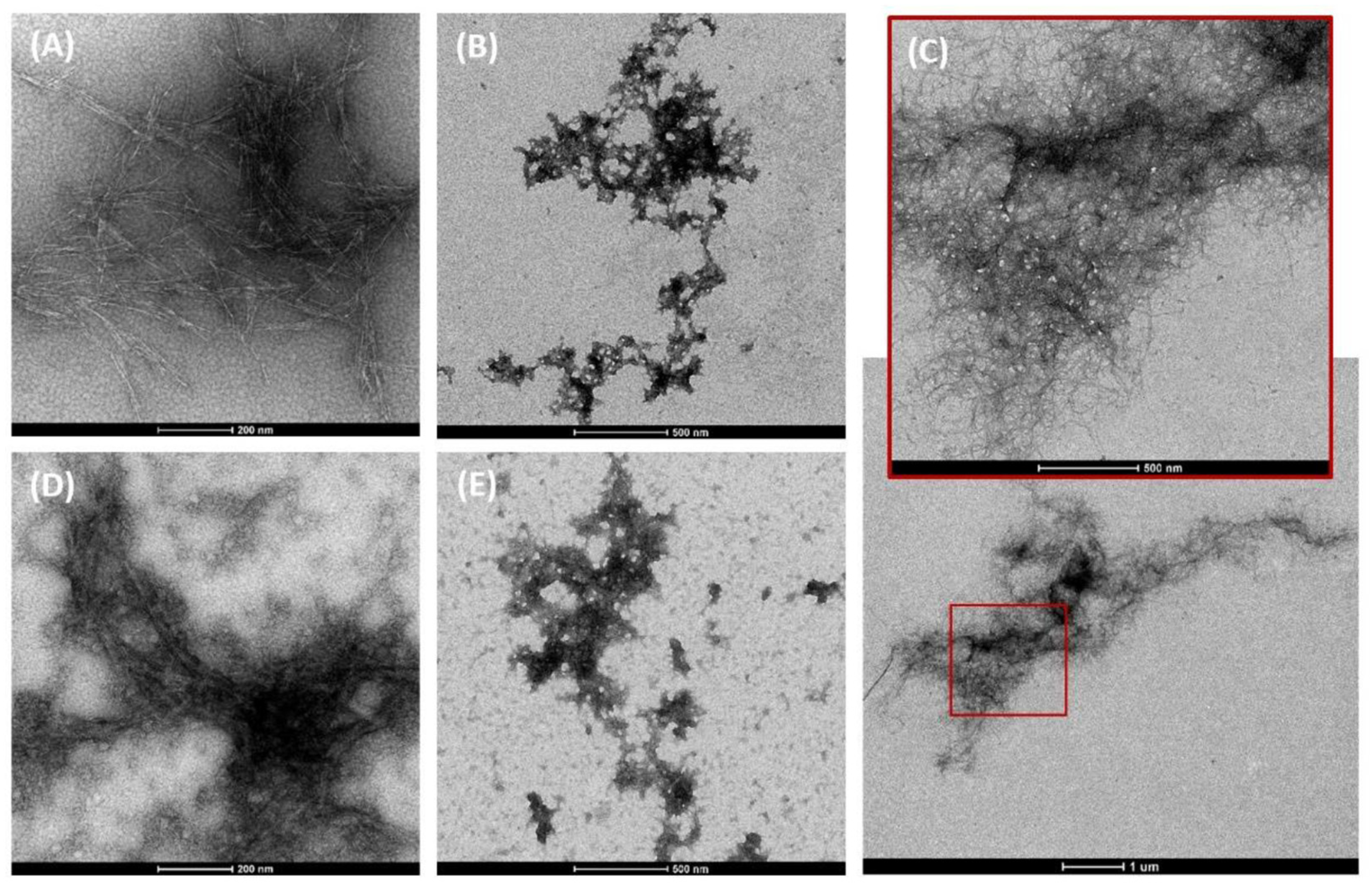 Nanomaterials 12 03375 g001 Nanomaterials 12 03375 g001