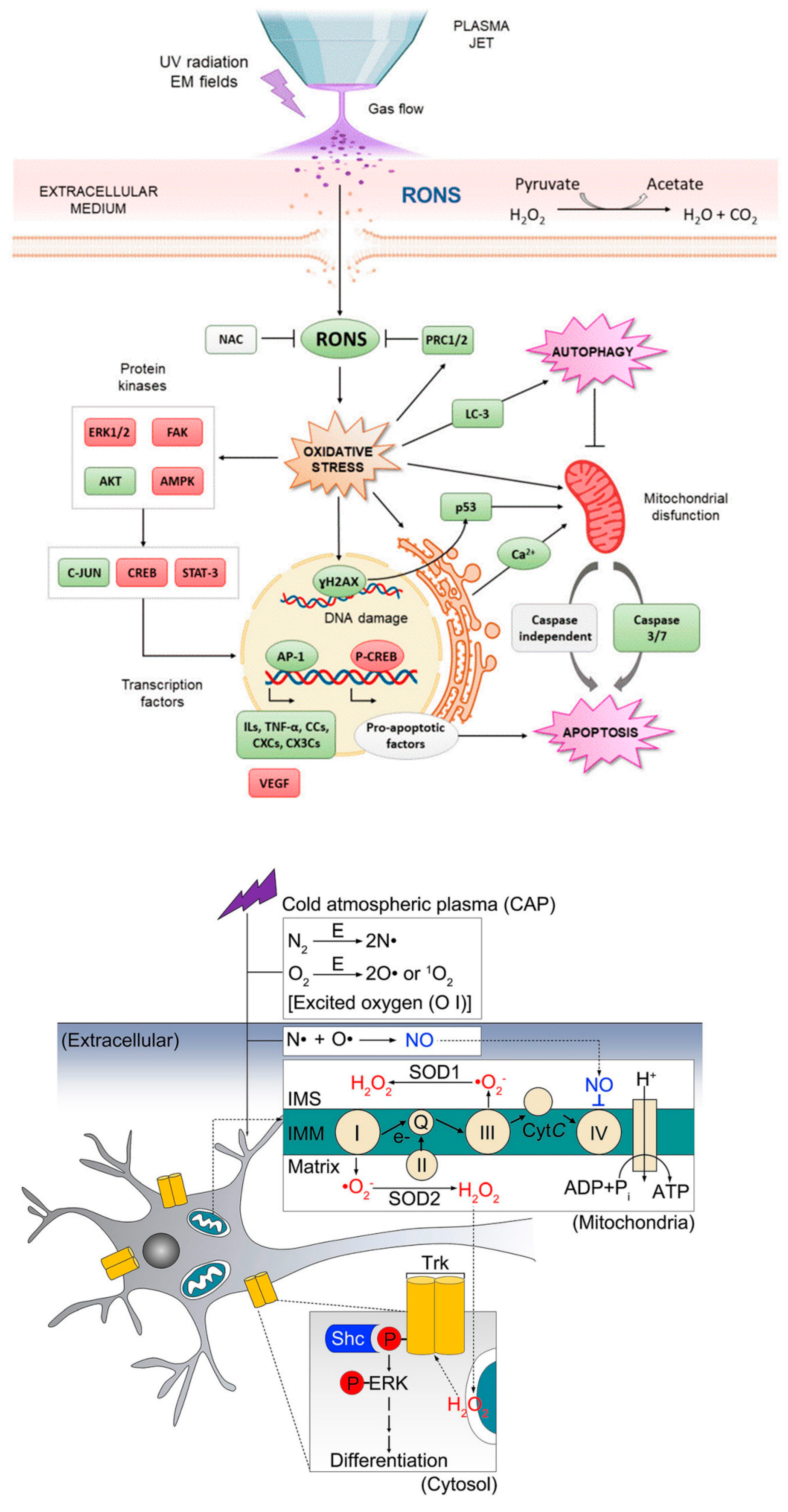 Nanomaterials 12 03397 g004 Nanomaterials 12 03397 g004
