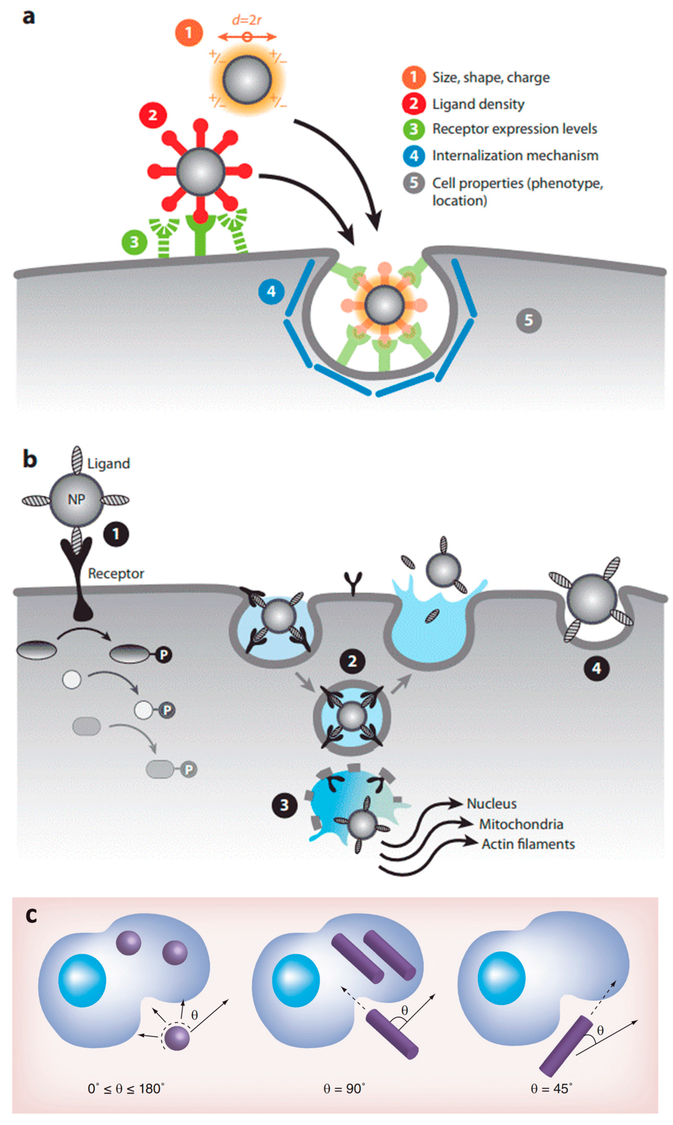 Nanomaterials 12 03397 g008 Nanomaterials 12 03397 g008