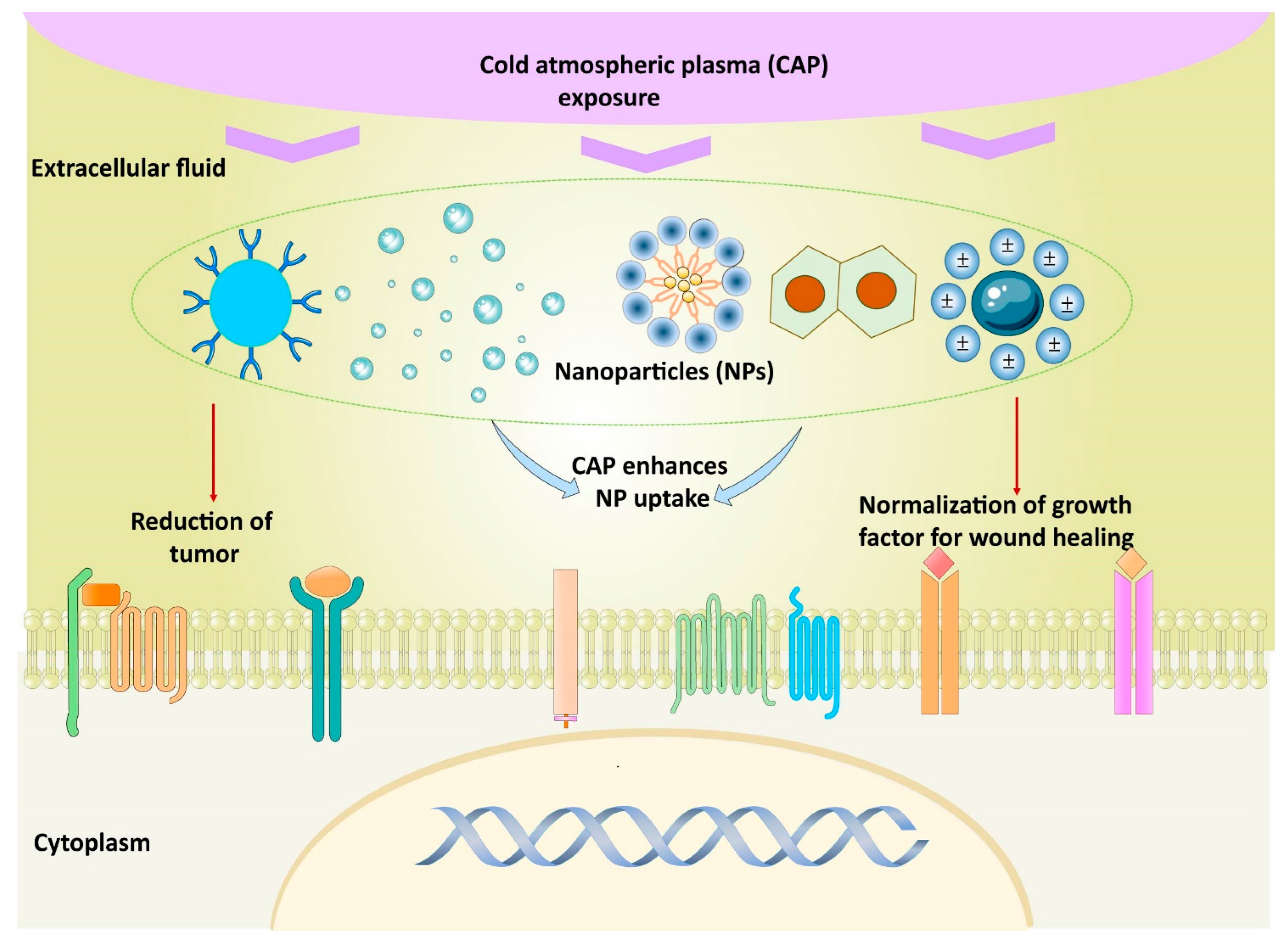 Nanomaterials 12 03397 g009 Nanomaterials 12 03397 g009