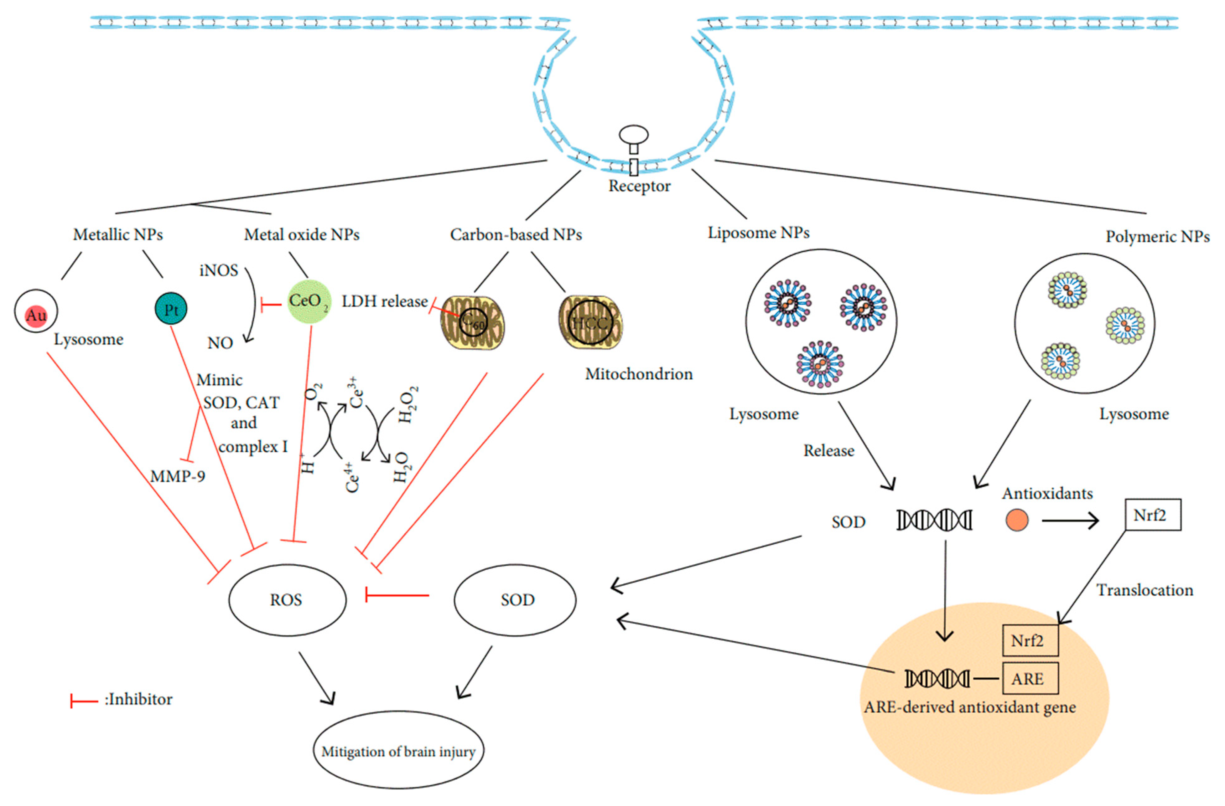 Nanomaterials 12 03397 g010 Nanomaterials 12 03397 g010