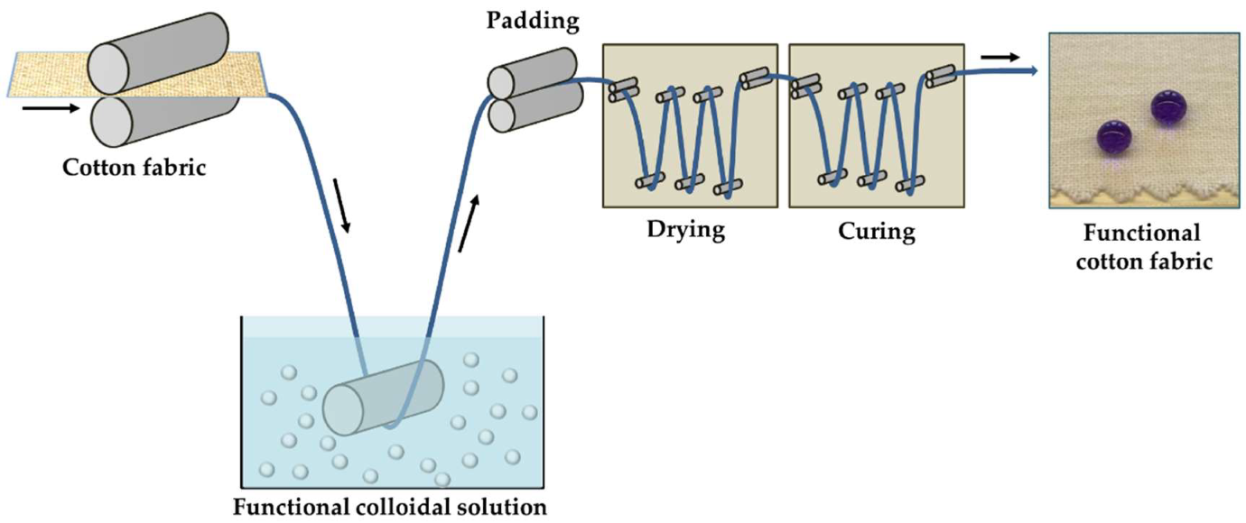 Nanomaterials 12 03404 g003