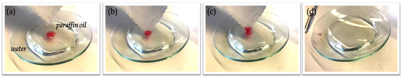 Nanomaterials 12 03404 g012