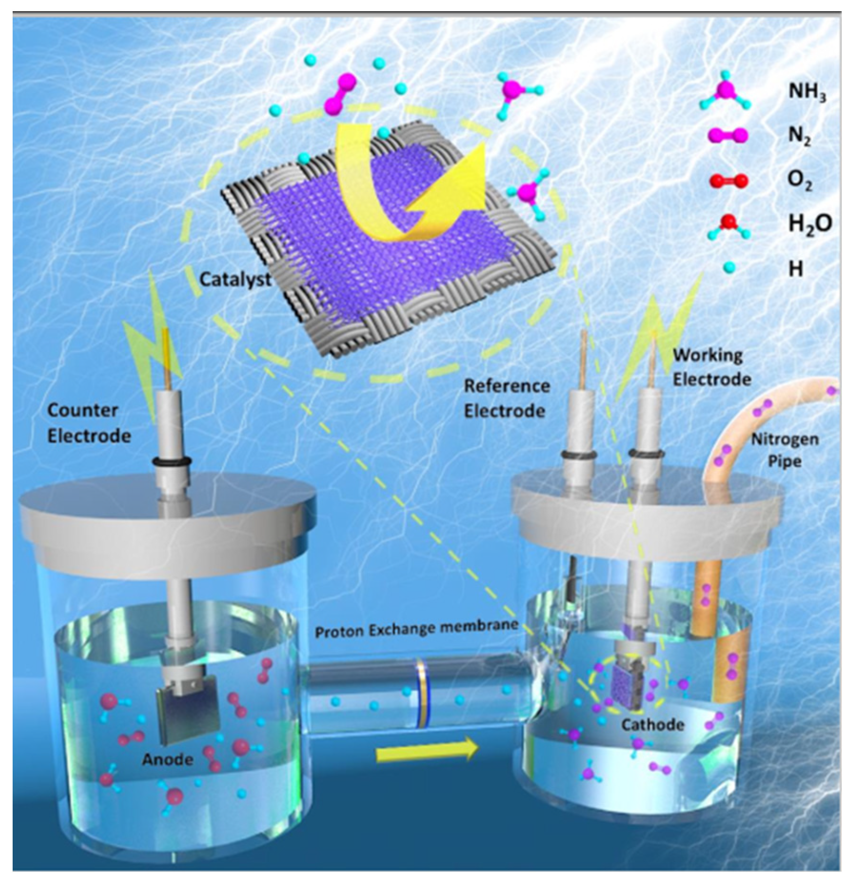 Nanomaterials 12 03413 g001