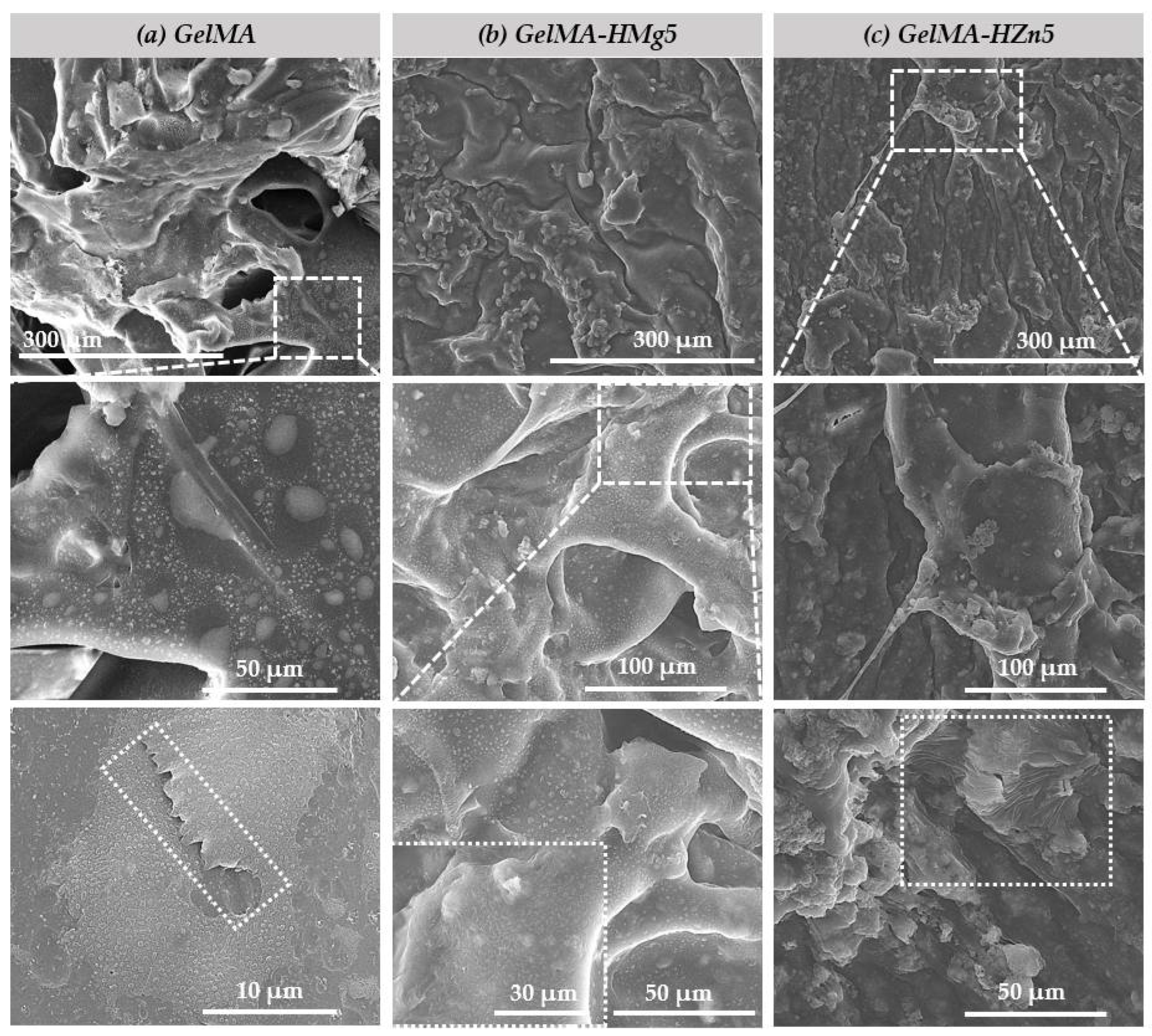 Nanomaterials 12 03420 g008