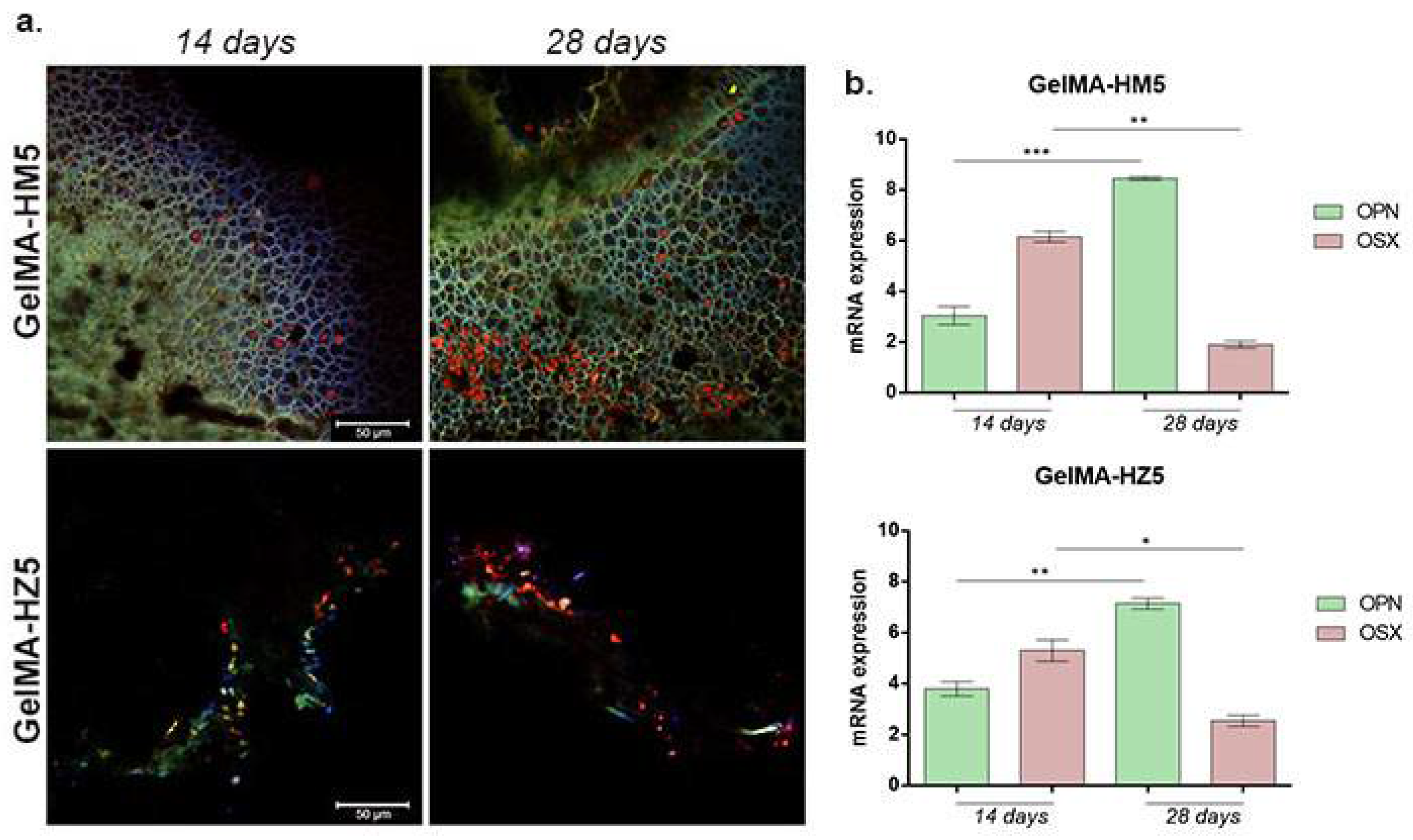Nanomaterials 12 03420 g018