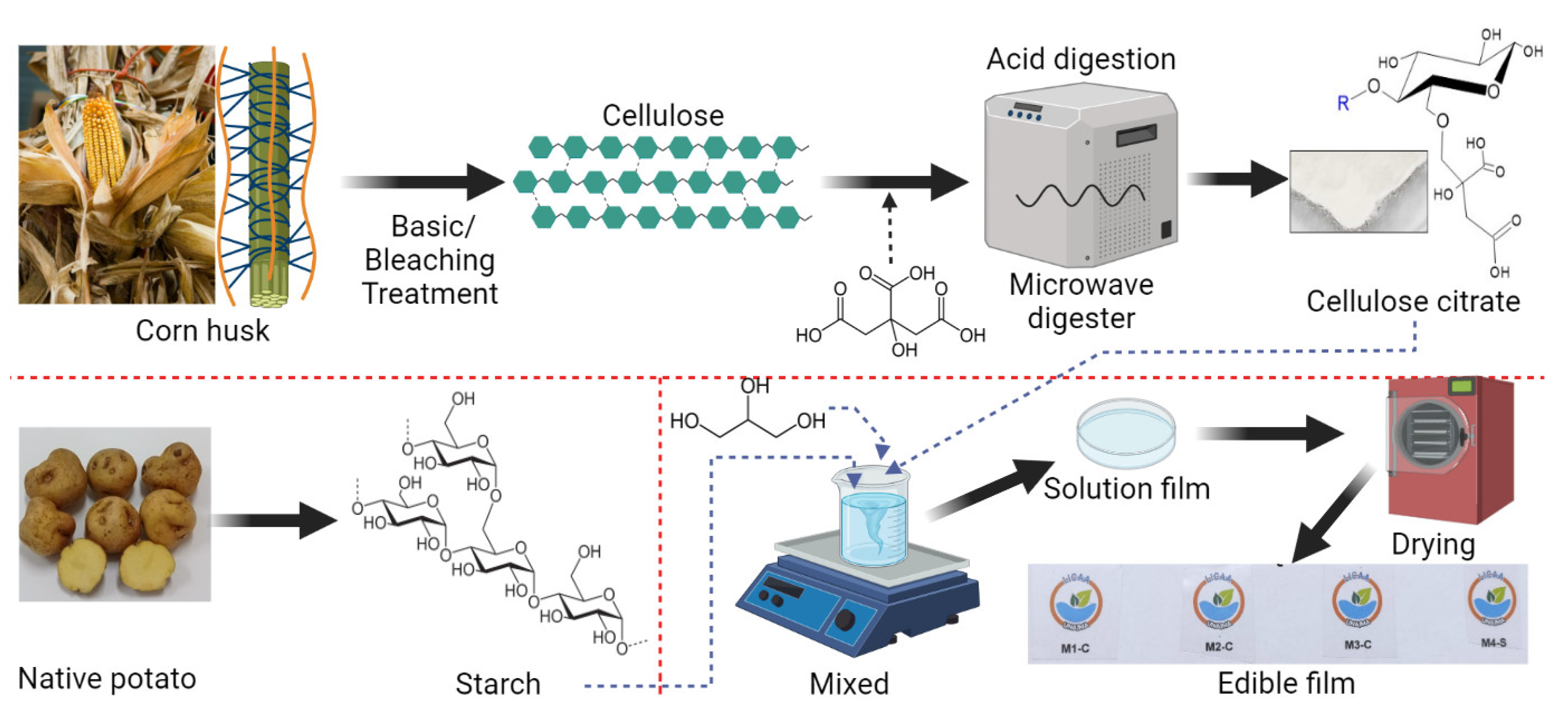 Nanomaterials 12 03421 g001