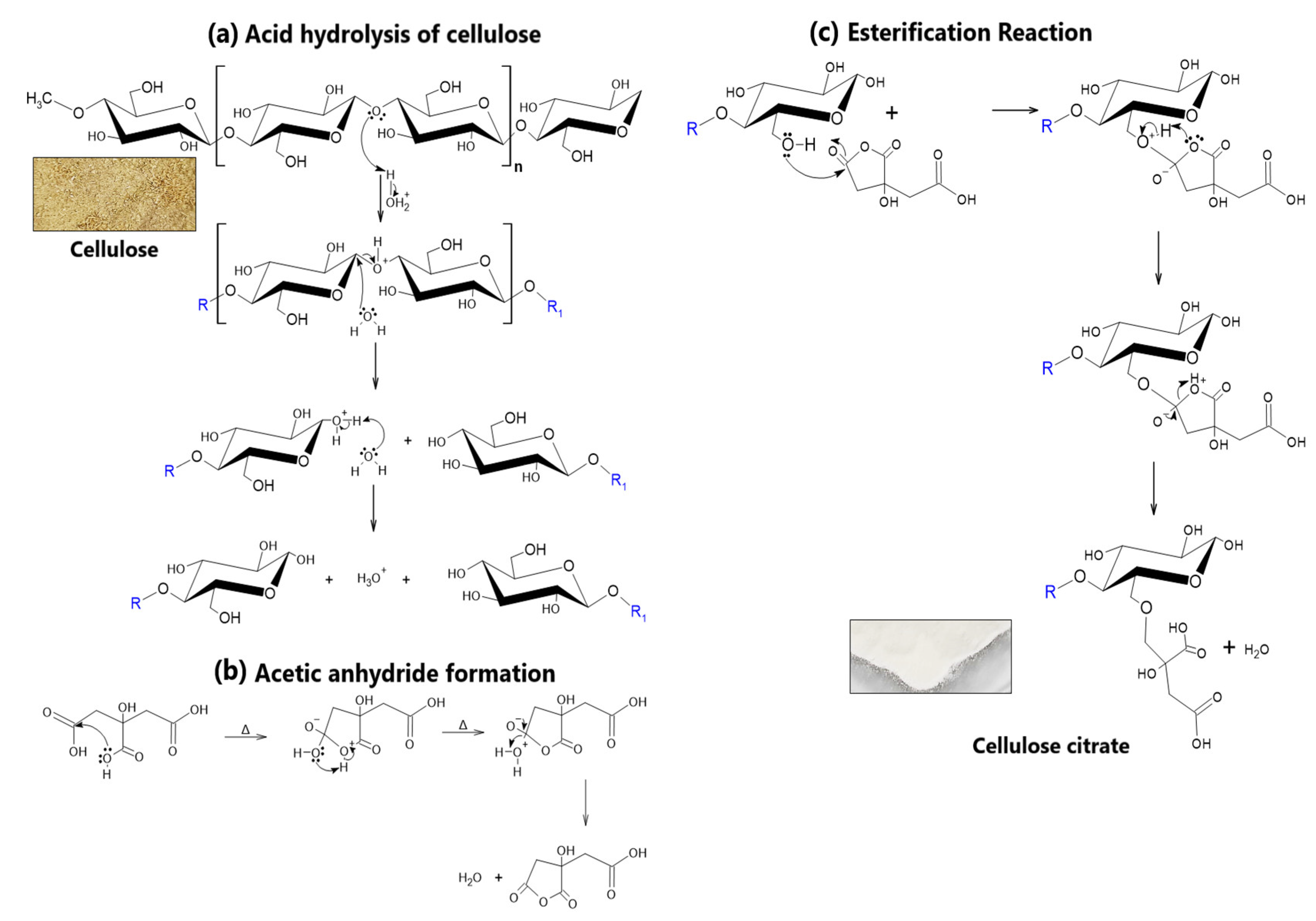 Nanomaterials 12 03421 g002