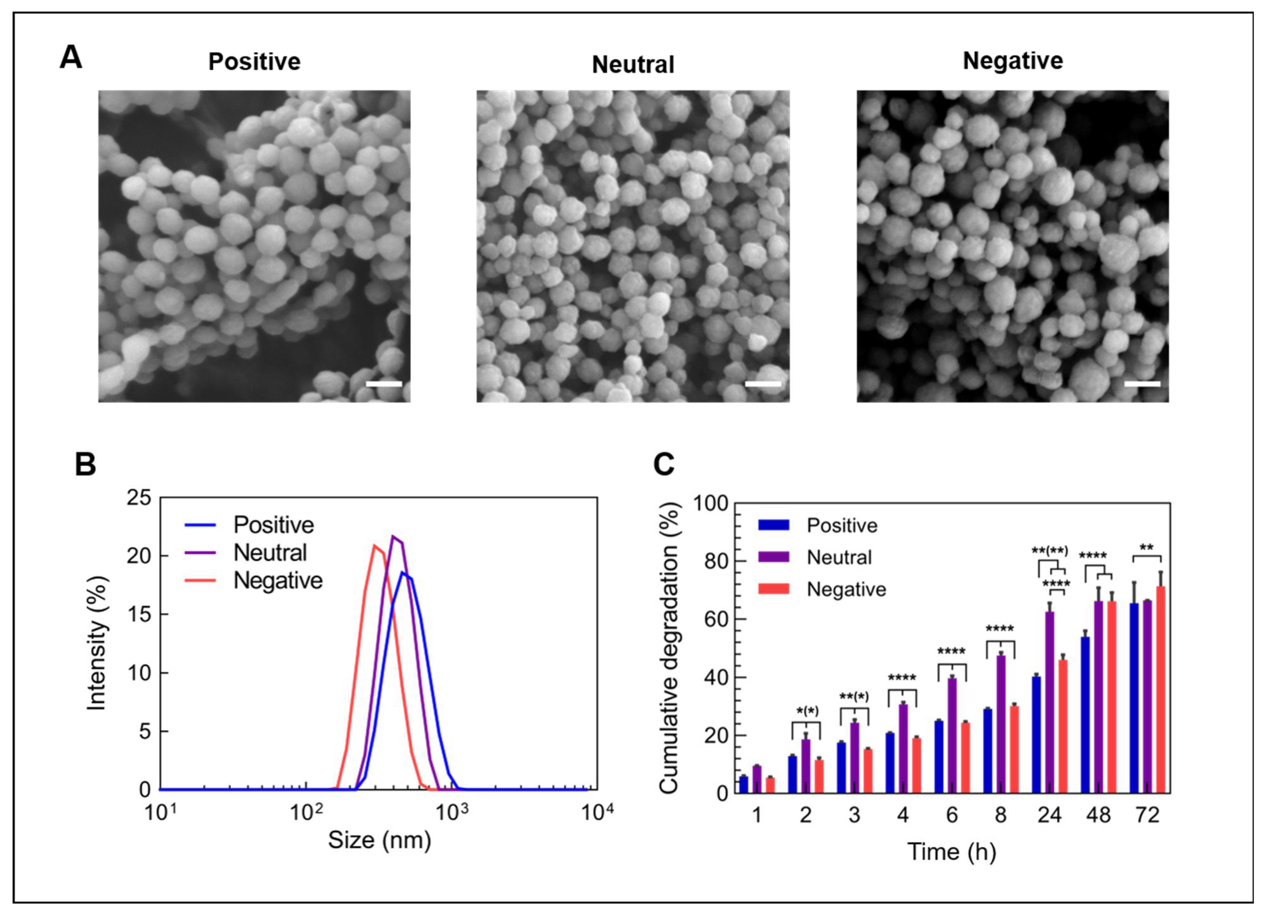 Nanomaterials 12 03423 g001