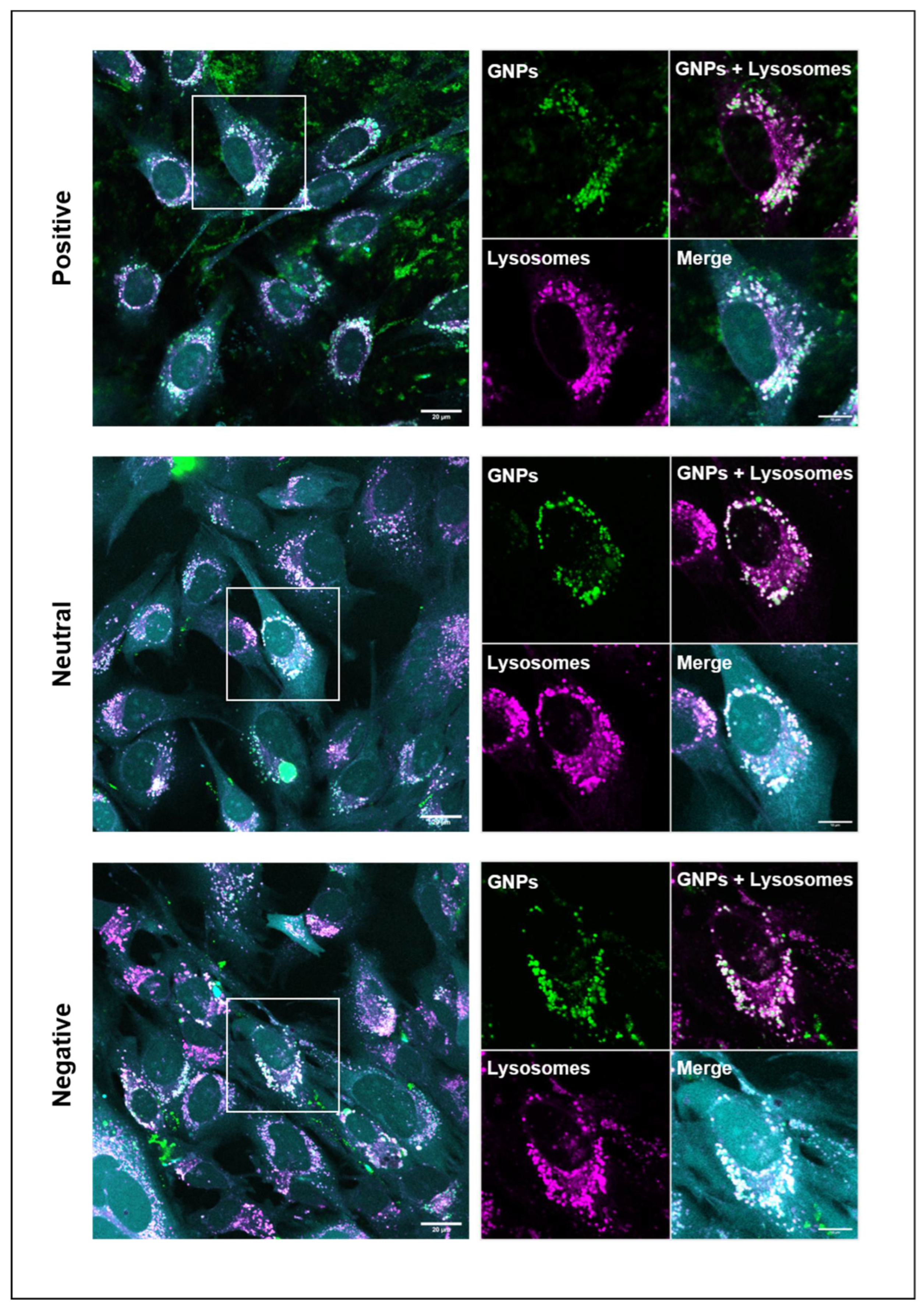 Nanomaterials 12 03423 g004