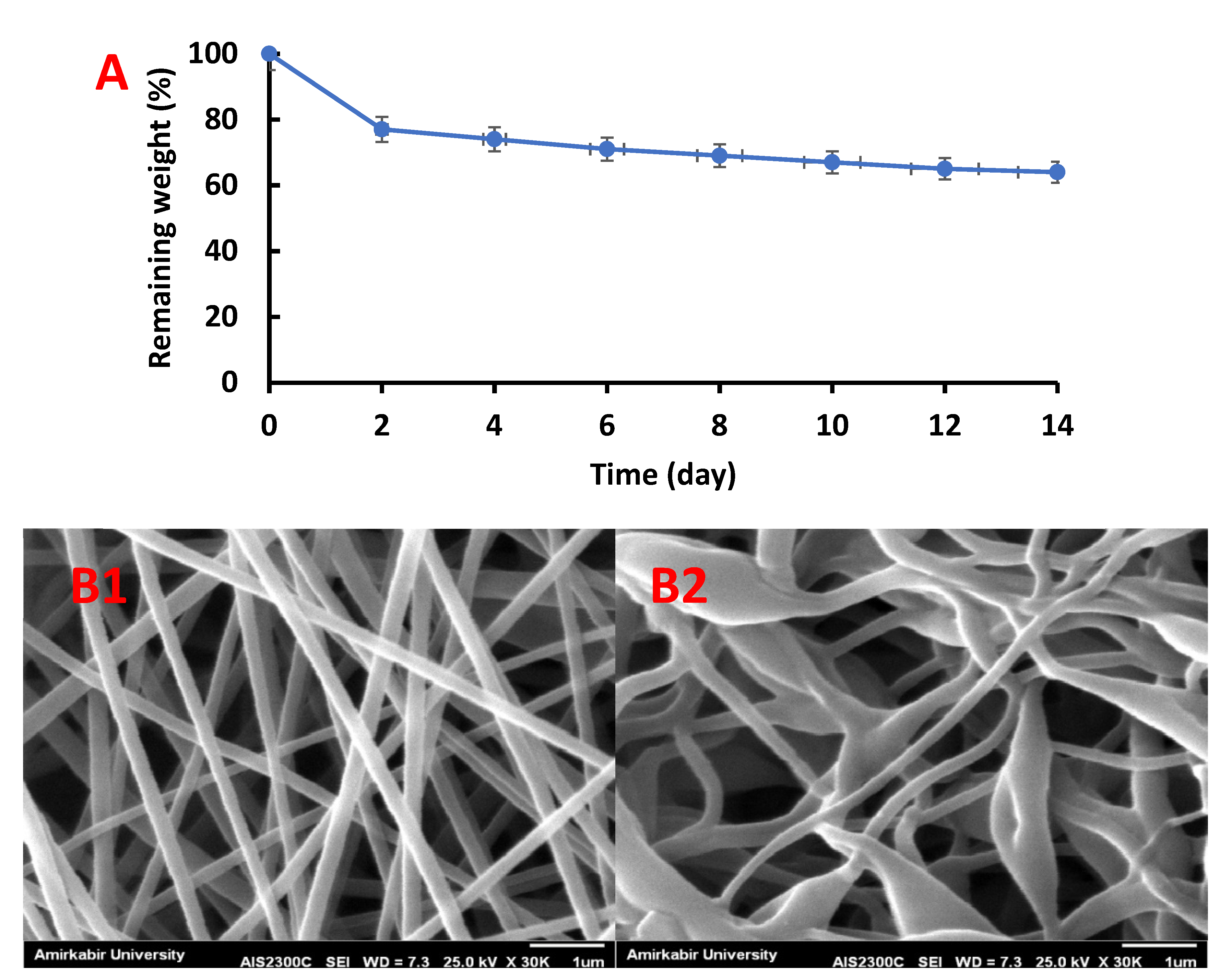 Nanomaterials 12 03426 g008
