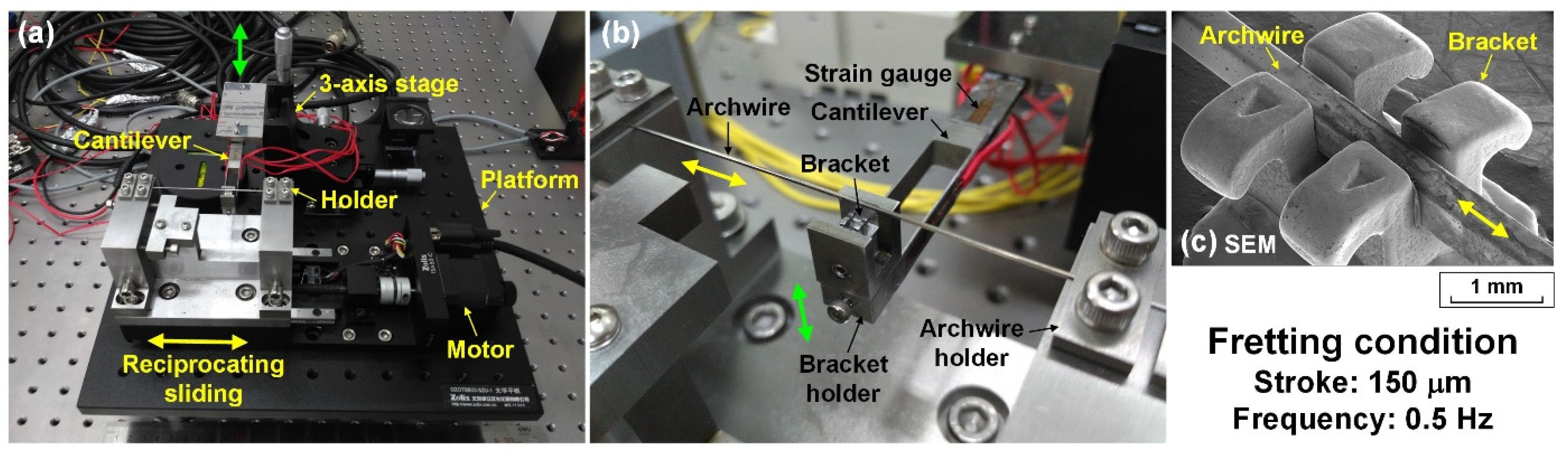 Nanomaterials 12 03430 g001 Nanomaterials 12 03430 g001