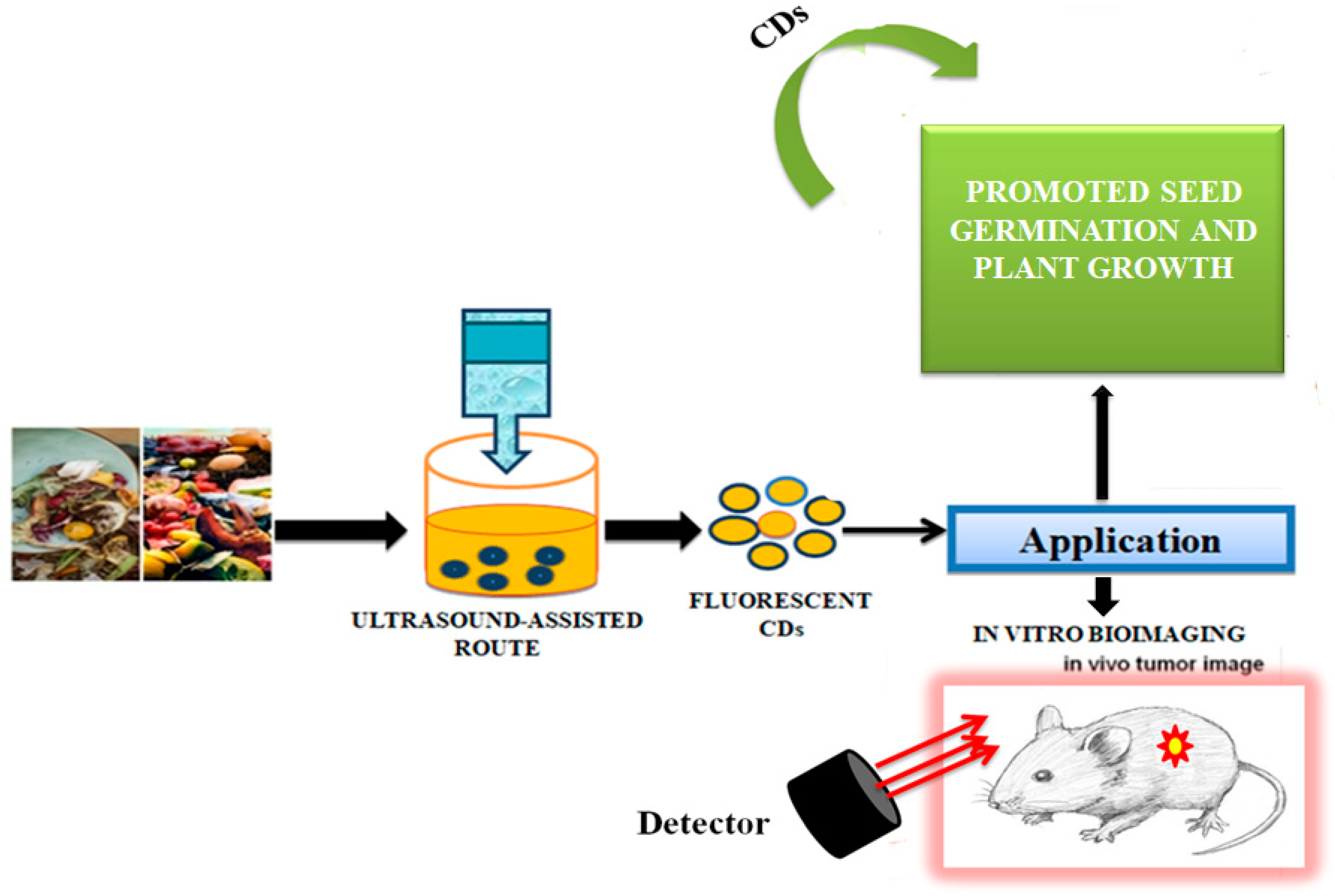Nanomaterials 12 03434 g005 Nanomaterials 12 03434 g005