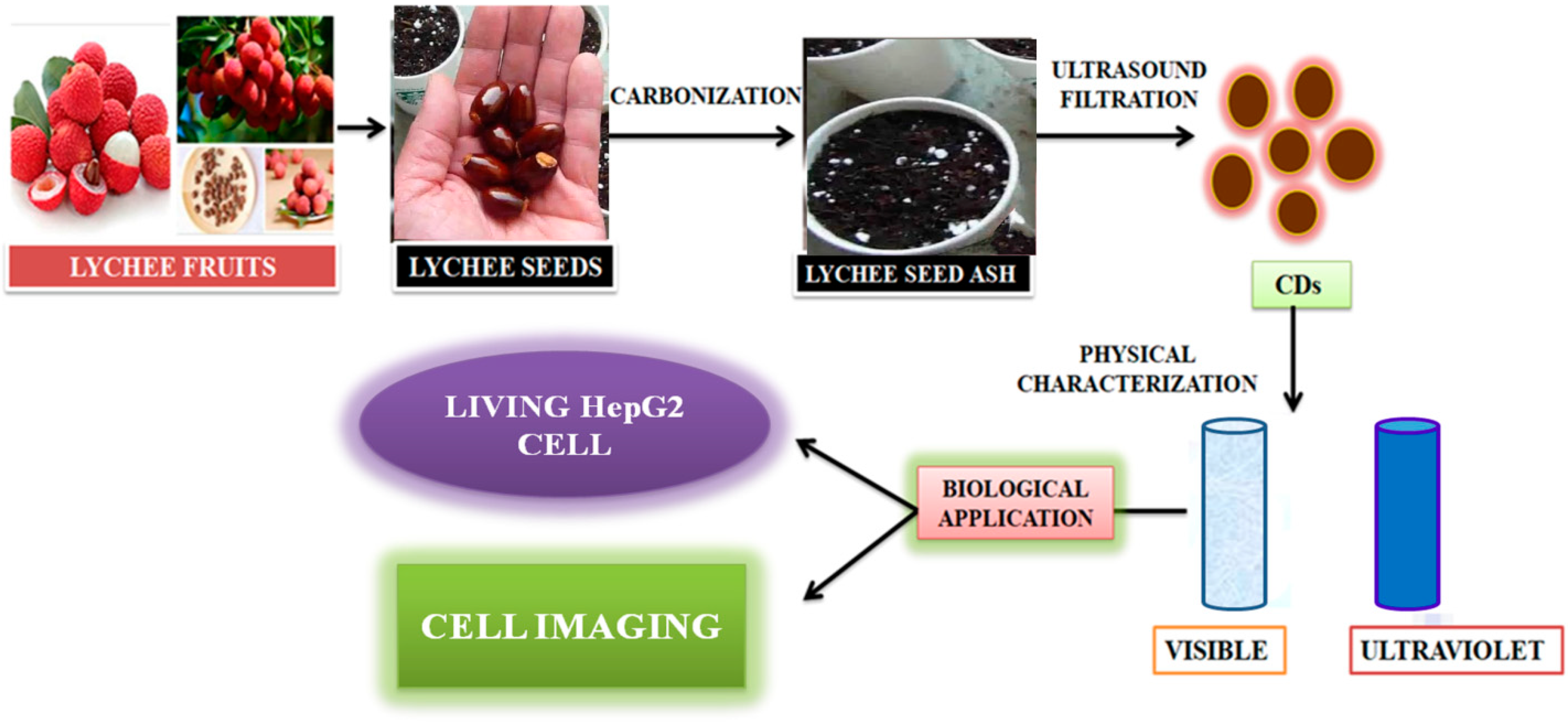 Nanomaterials 12 03434 g007 Nanomaterials 12 03434 g007