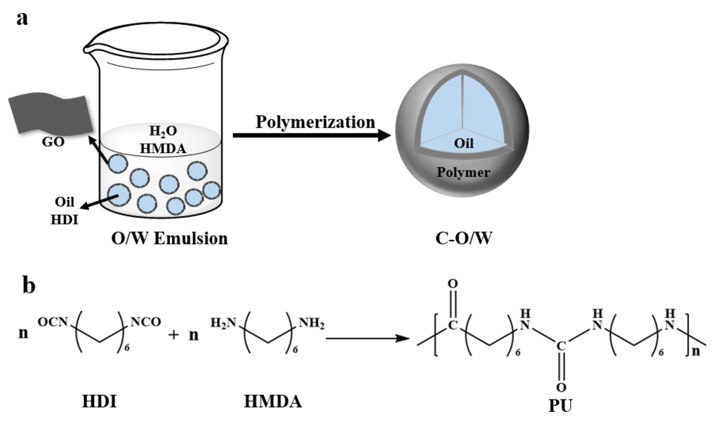 Nanomaterials 12 03439 g001